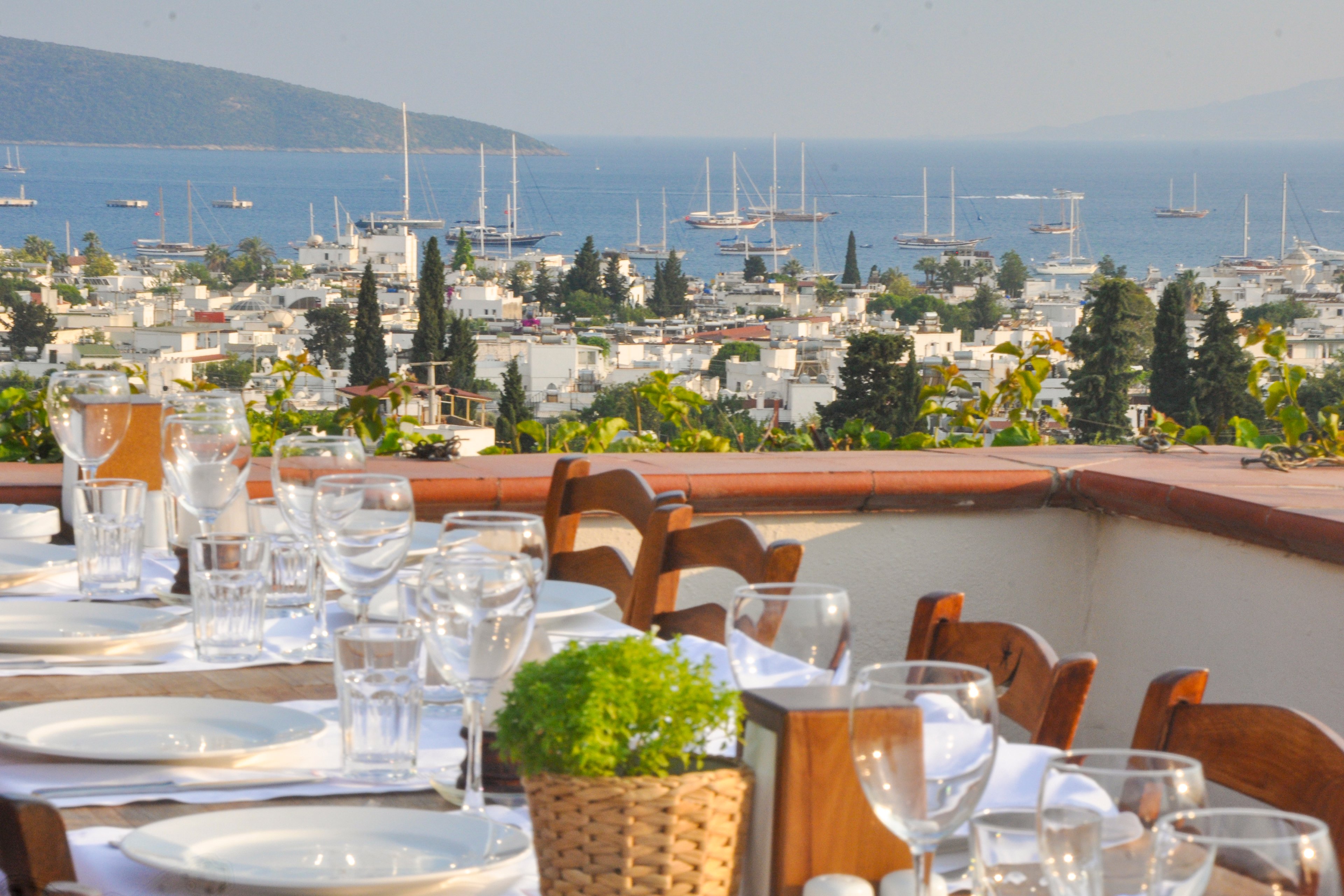 El Vino Hotel & Suites