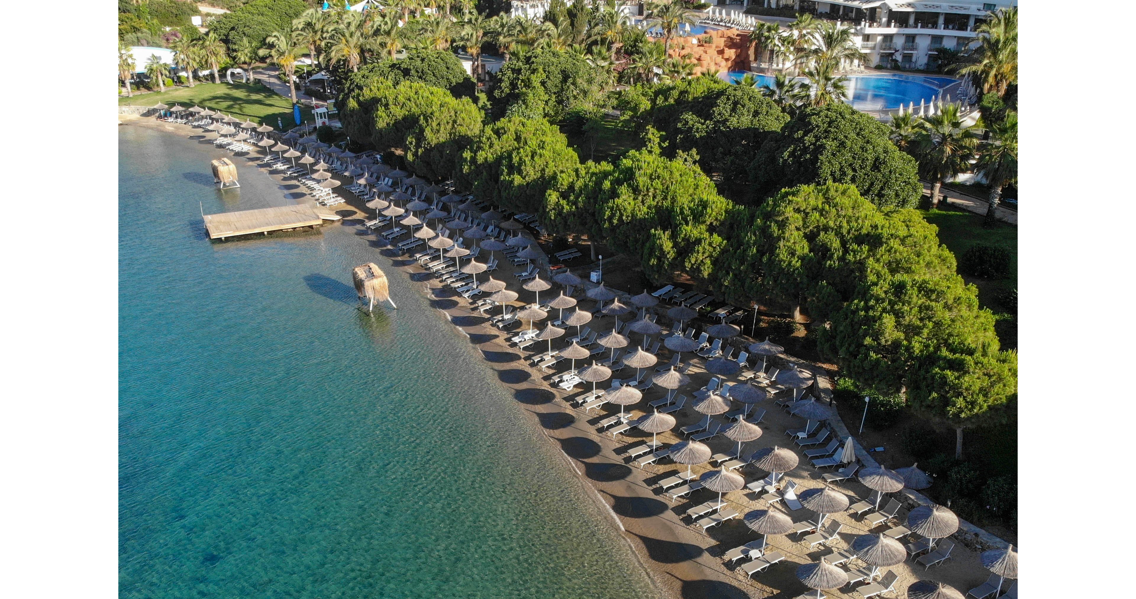 This image shows an aerial perspective of a sandy beach lined with rows of sun loungers and straw umbrellas. The clear turquoise water gently meets the shore, while wooden piers extend into the sea. Lush green trees and a glimpse of a pool area are visible in the background, suggesting a resort setting. The scene is calm and inviting, ideal for relaxation and leisure.