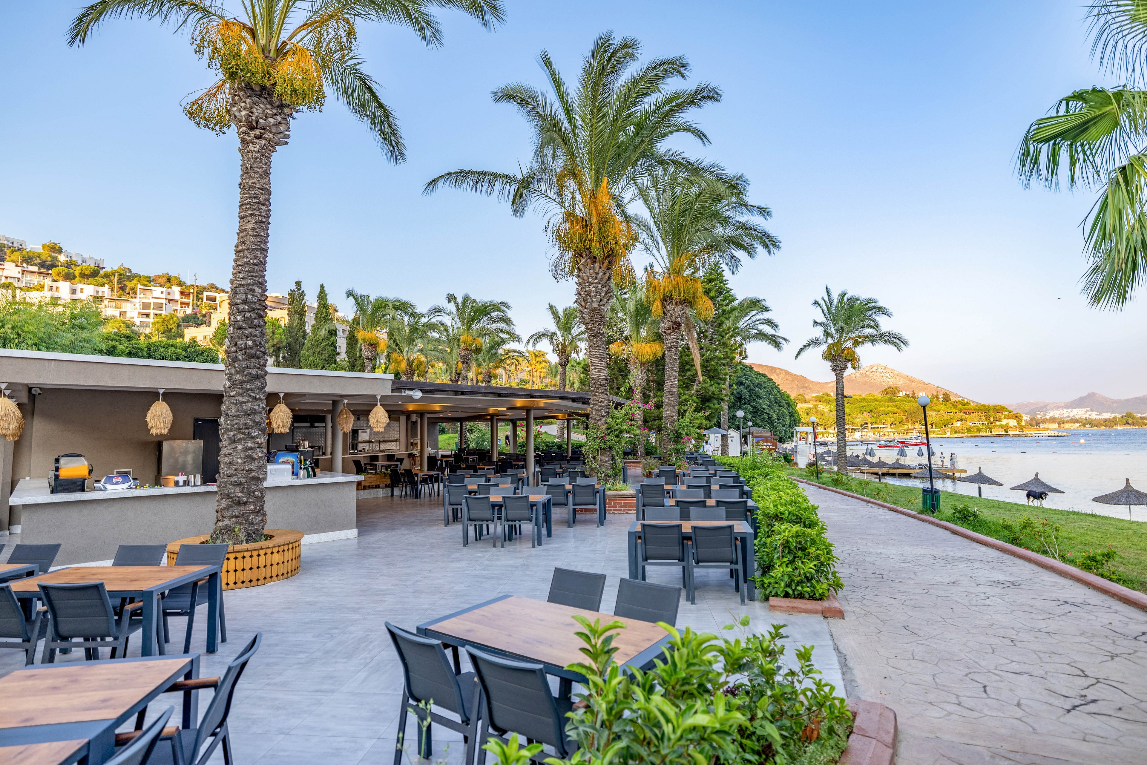 An open-air restaurant features modern tables and chairs arranged on a spacious patio lined with tall palm trees. The setting overlooks a scenic beach and calm sea, with sun umbrellas visible along the shoreline. The atmosphere is relaxed and inviting, ideal for casual dining in a coastal environment. The area is well-lit with natural daylight, and the overall palette is bright and fresh.