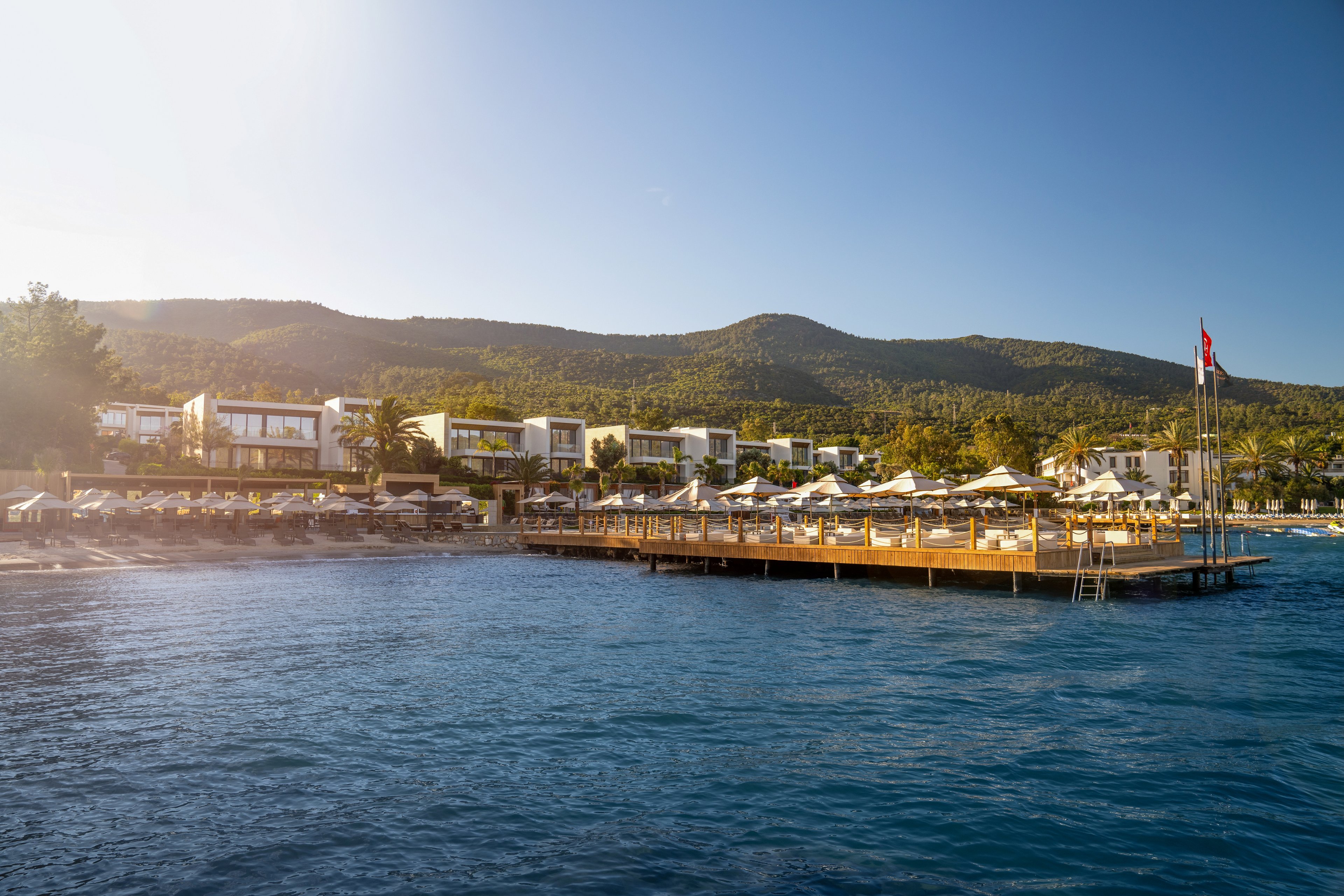 The Norm Collection Door'a