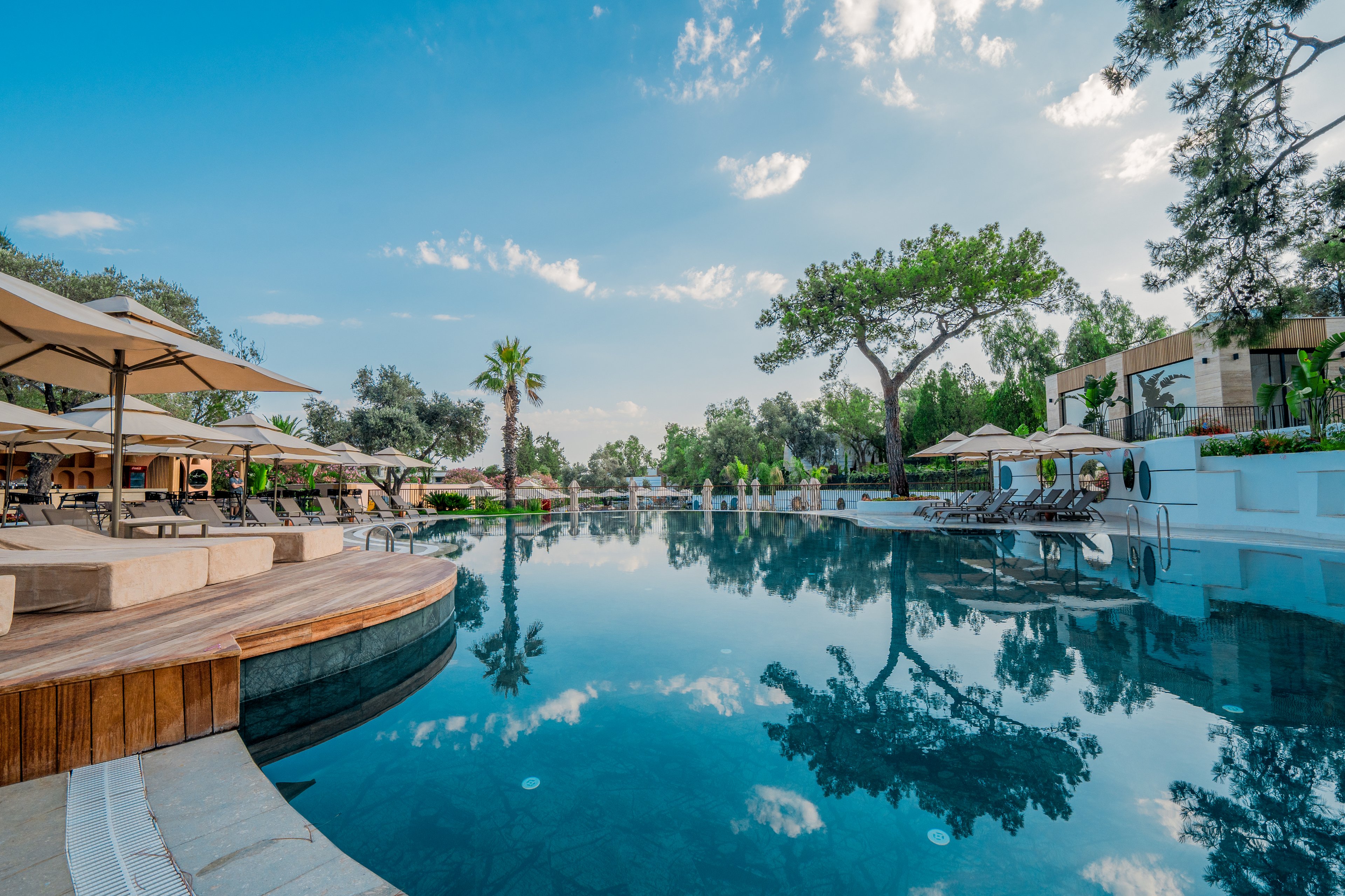 The Norm Collection Door'a