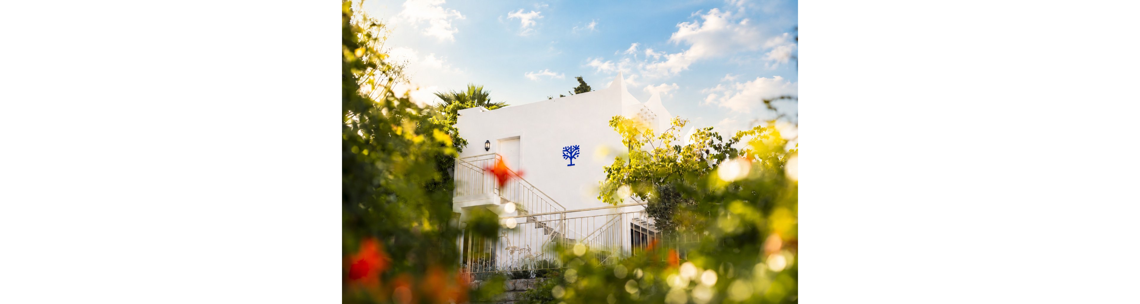 A white cubic house stands amid lush garden foliage under a bright blue sky with scattered clouds. The building features a simple metal staircase and railing leading to an upper level. A stylized blue tree symbol is visible on the wall, adding a focal accent to the minimalist facade. Soft focus flowers and plants frame the foreground, creating a dreamy, sunlit atmosphere.