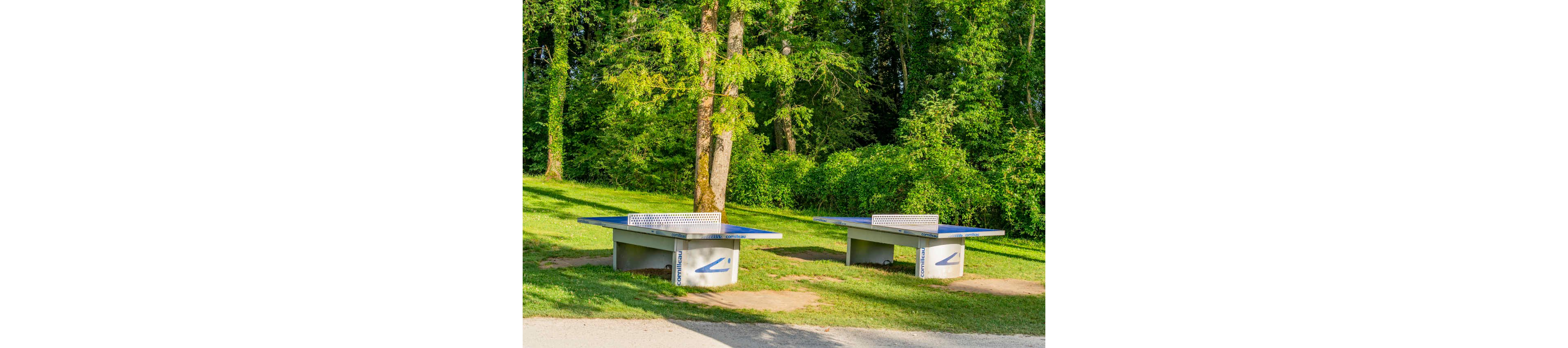 Two outdoor concrete ping pong tables stand on a grassy area in a park. The tables are positioned side by side with metal nets and sturdy bases. Lush green trees and bushes form a dense backdrop in bright daylight. Sunlight creates vivid contrasts between the blue tabletops, green grass, and shaded forest edge.