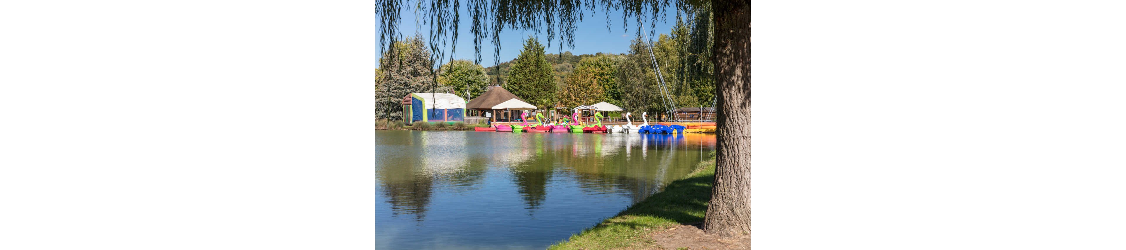 A row of brightly colored swan pedal boats is moored along the edge of a calm lake. Small buildings and huts sit on the opposite shore, surrounded by lush green trees and foliage. The clear blue sky and reflections in the water create a peaceful, sunny atmosphere. A large tree in the foreground frames the scene, suggesting a relaxing recreational park setting.