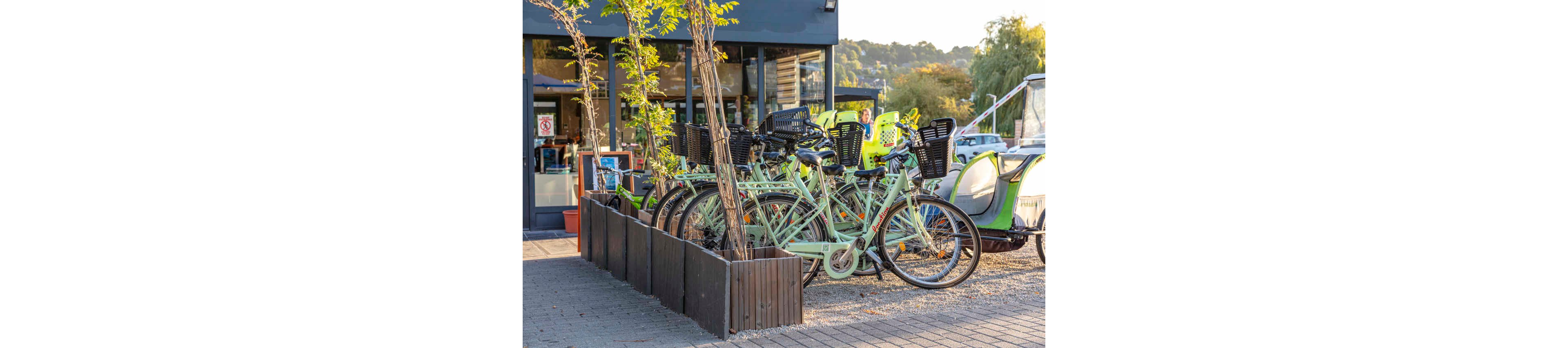 A row of light green bicycles is parked neatly in a bike rack beside a modern café. Each bicycle has a black front basket, suggesting they are used for city commuting or rentals. Wooden planters with young trees separate the bikes from the pedestrian area. In the background, additional bikes and a rickshaw-style vehicle are visible, with hills and greenery under warm afternoon light.