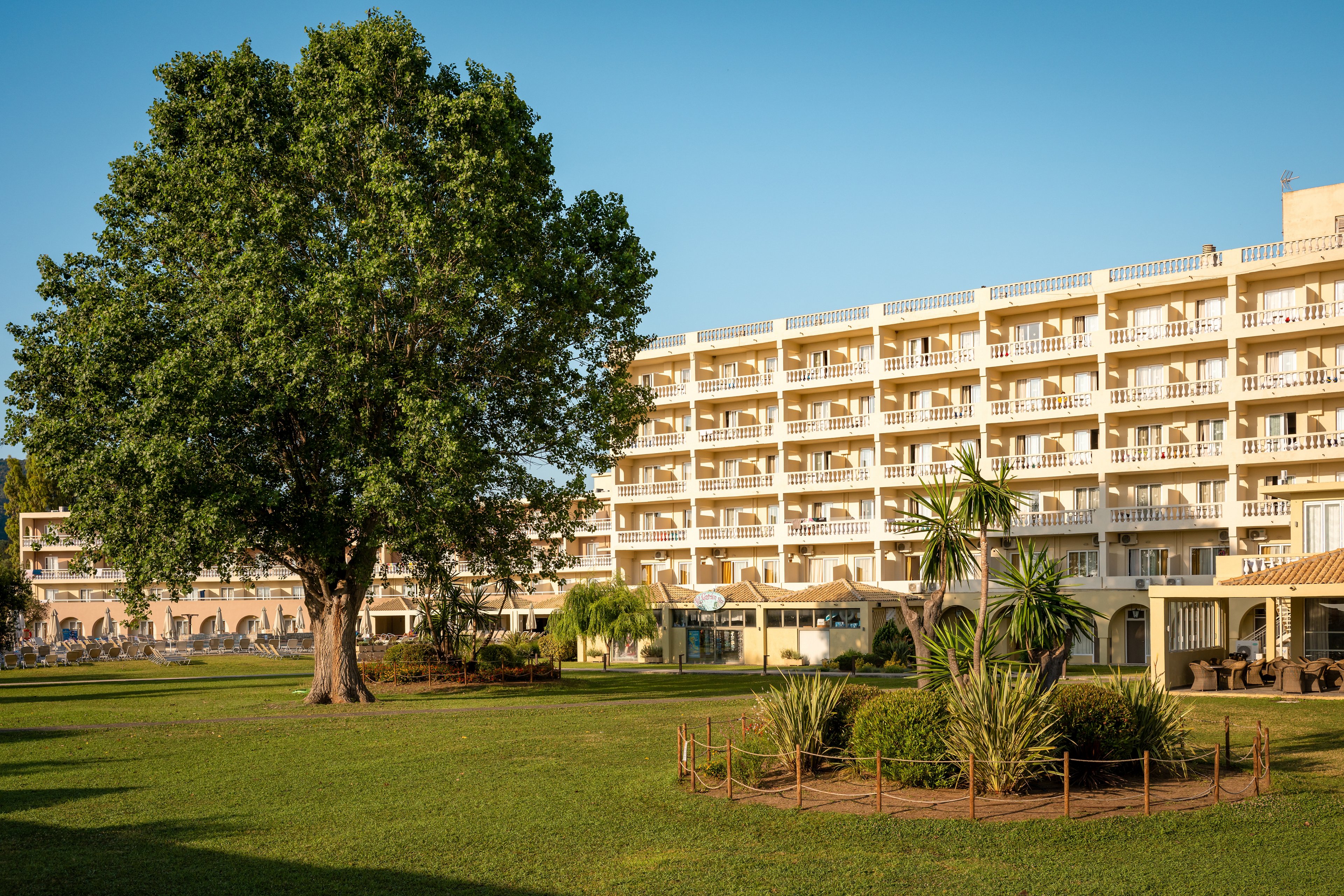 Canvas by Mitsis Messonghi