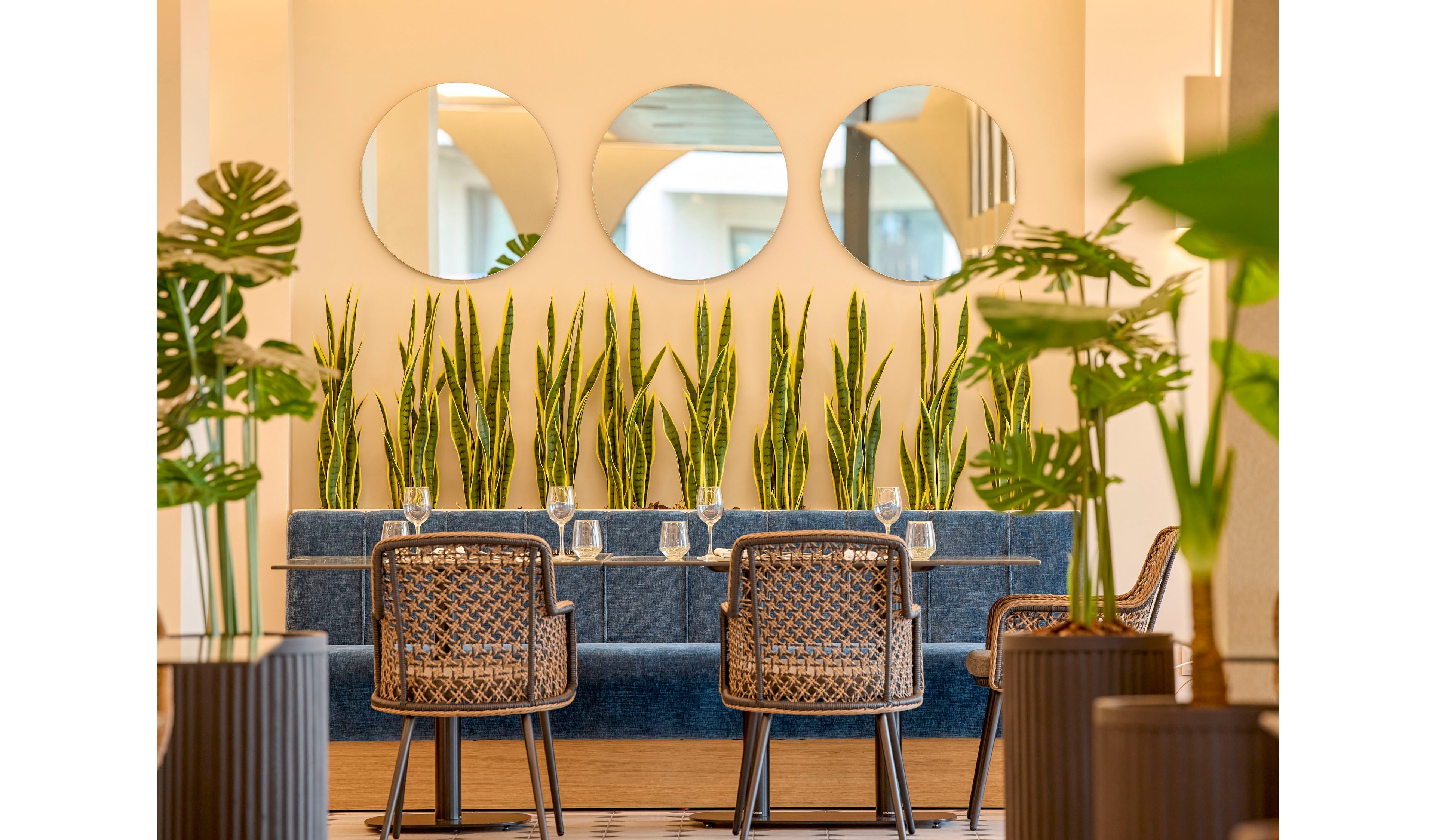 Contemporary indoor seating is arranged around a table with woven chairs and a blue upholstered bench. Tall green plants form a natural divider behind the bench, adding freshness to the space. Three round mirrors hang on the wall, reflecting the bright, minimalist interior. Potted plants in the foreground frame the cozy, stylish dining setting with empty glassware ready for guests.