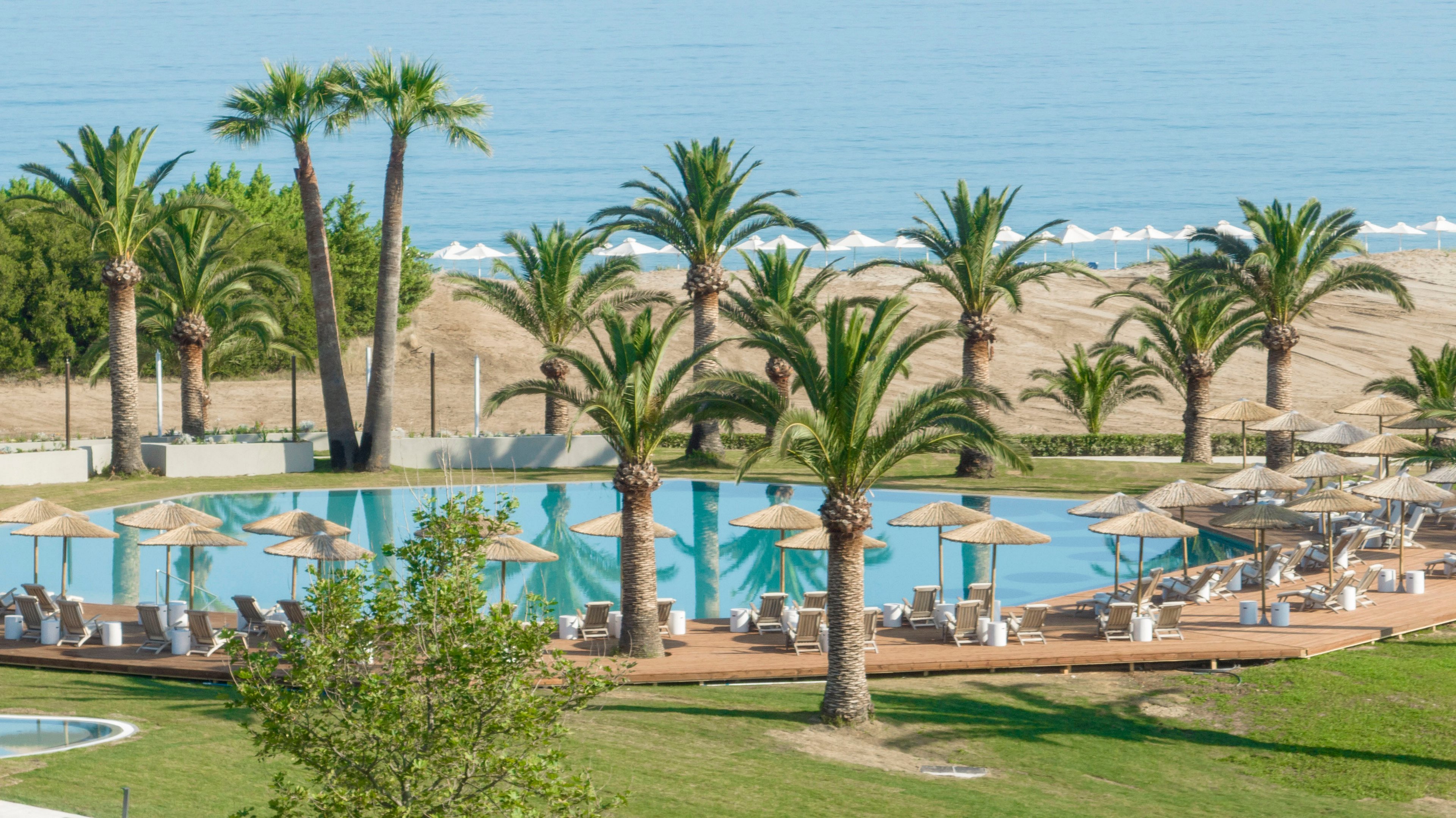 A large resort swimming pool is surrounded by tall palm trees and sun loungers with straw umbrellas. The pool area overlooks a sandy beach and calm ocean waters in the background. Green lawns and landscaped gardens frame the deck, creating a relaxing vacation atmosphere. The scene is bright and sunny, suggesting a warm coastal destination ideal for leisure and holidays.