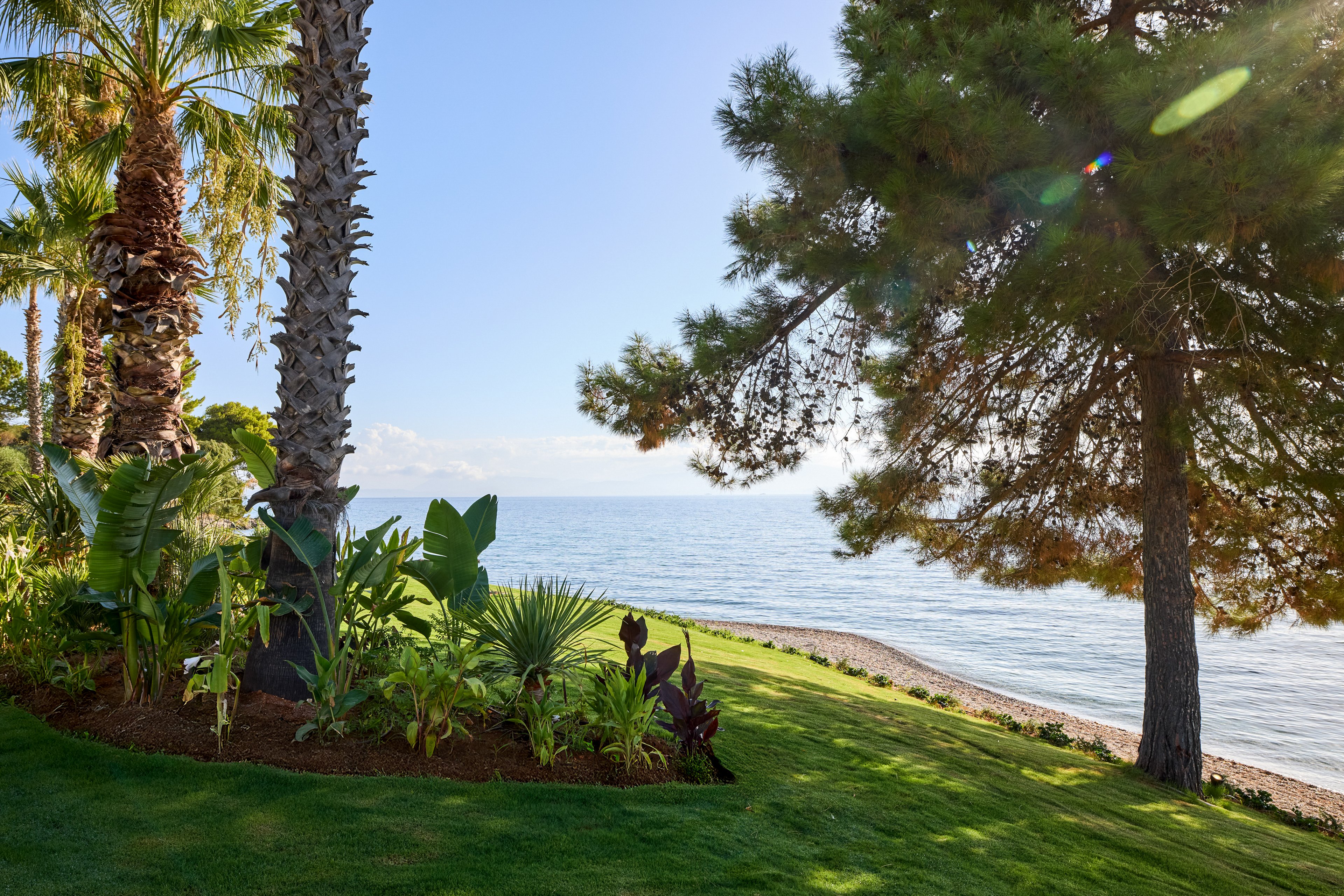 Avali Mar-Bella Collection