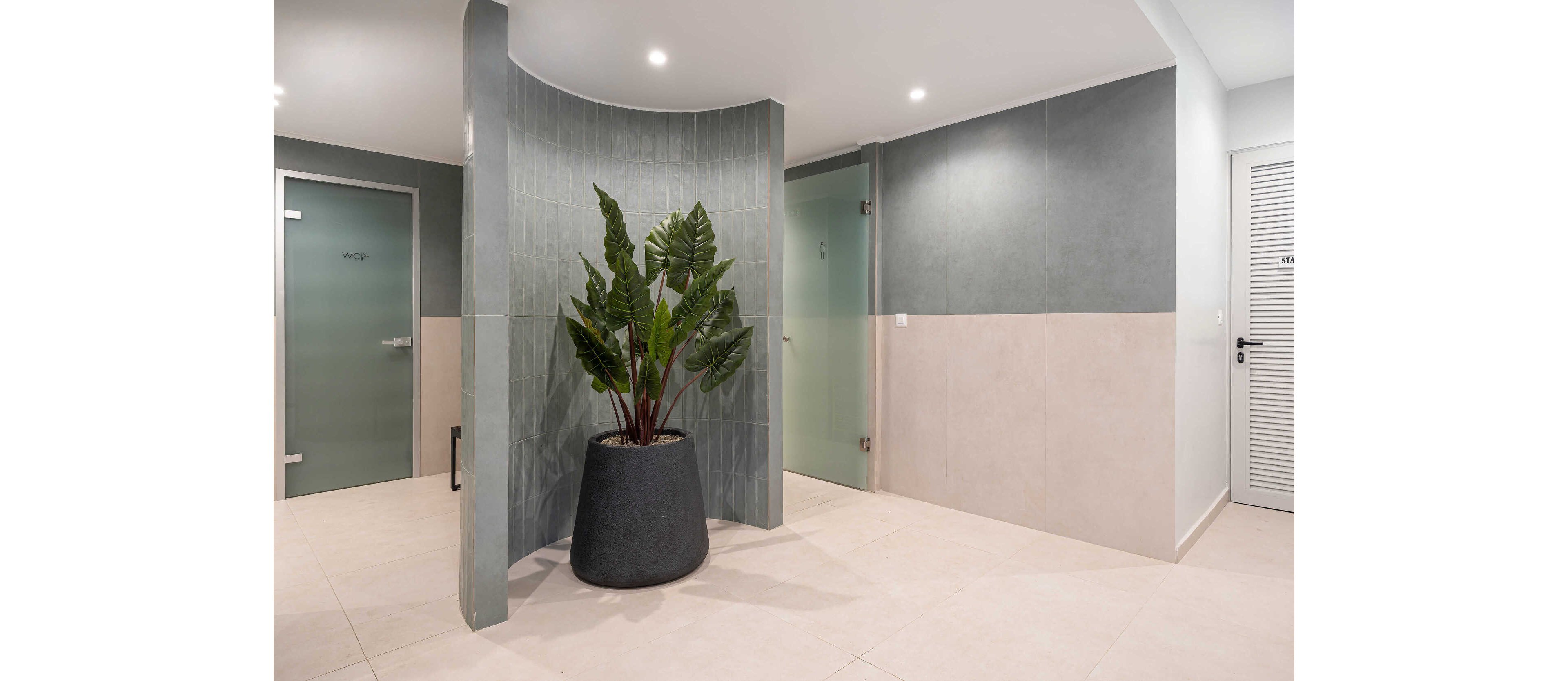 A contemporary interior hallway features a large potted plant as the central focal point. The space is finished with light floor tiles and two-tone walls in soft gray and beige. Frosted glass doors and recessed ceiling lights contribute to the clean, minimalist design. The overall atmosphere is calm, bright, and modern.