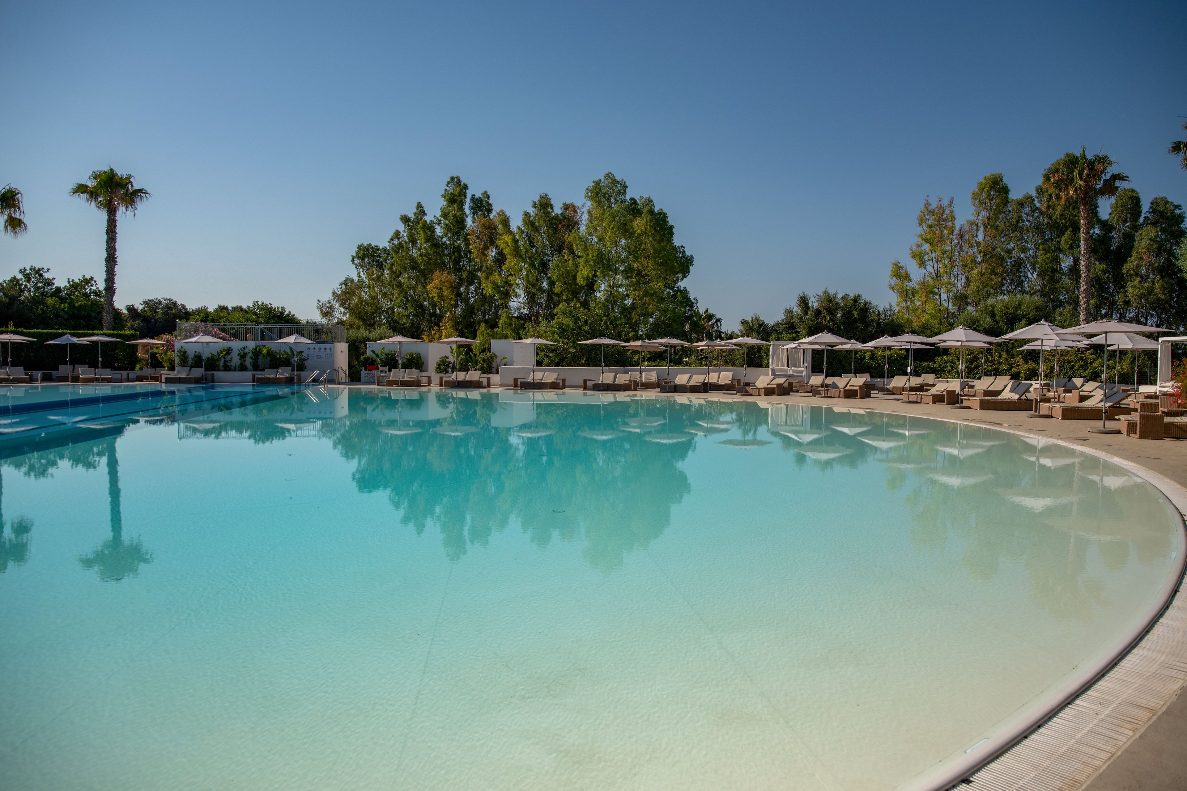 A large, tranquil swimming pool dominates the foreground of a sunny resort scene. Sun loungers and white umbrellas line the poolside, suggesting a relaxing vacation atmosphere. Tall trees and palm trees form a lush green backdrop under a clear blue sky. The calm water and soft neutral tones create a serene, inviting mood ideal for leisure and relaxation.