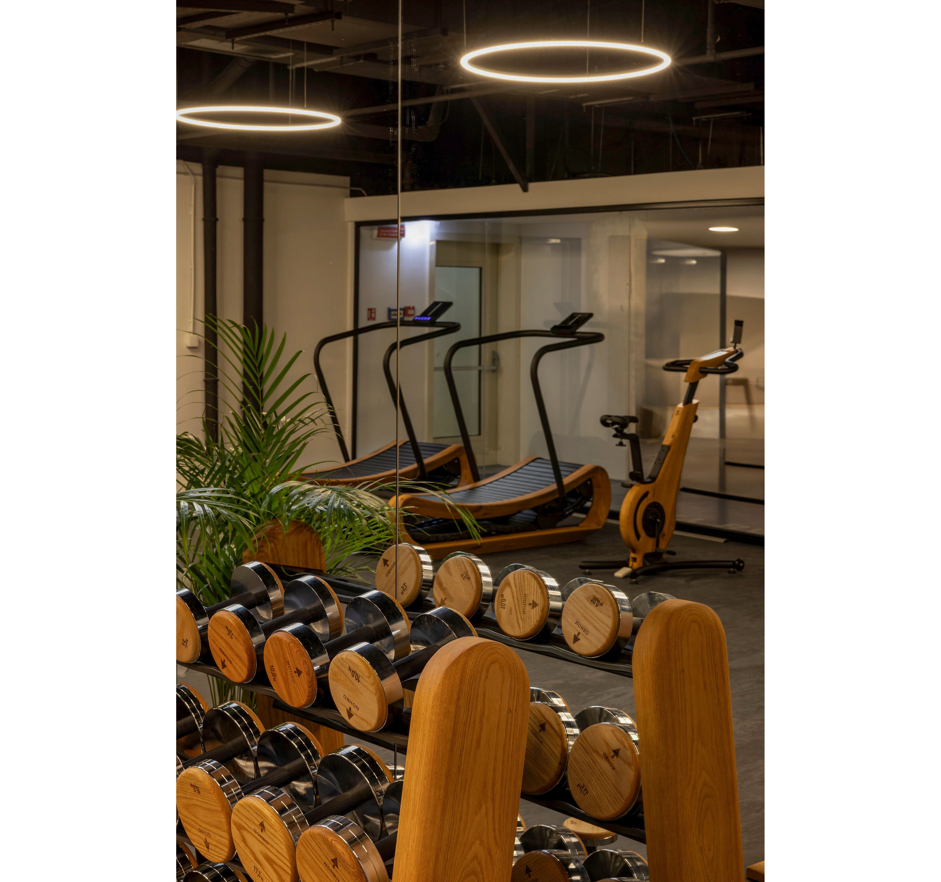 A contemporary gym features sleek wooden dumbbells neatly arranged on racks in the foreground. Behind them, two curved treadmills and a stationary exercise bike with wooden accents stand near glass-walled rooms. Circular ceiling lights create a warm, focused illumination over the workout area. A green potted plant adds a touch of nature to the otherwise industrial-style fitness space.
