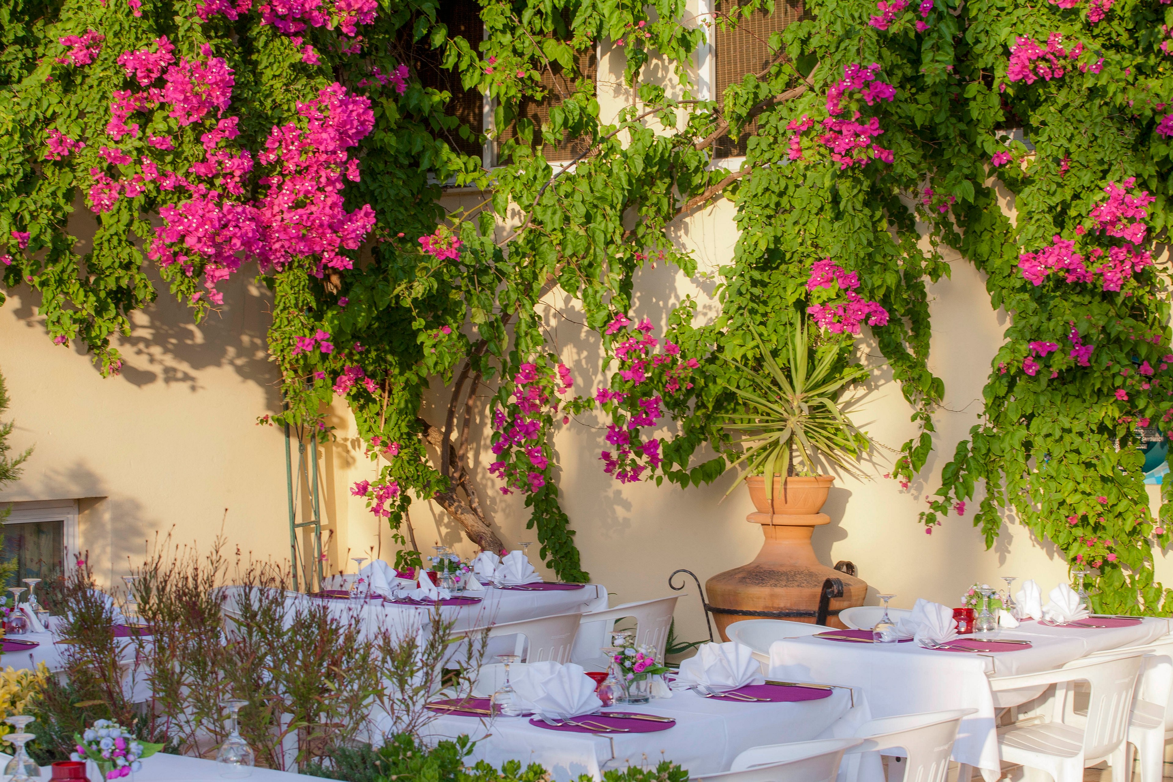 Asya Blue Apartments