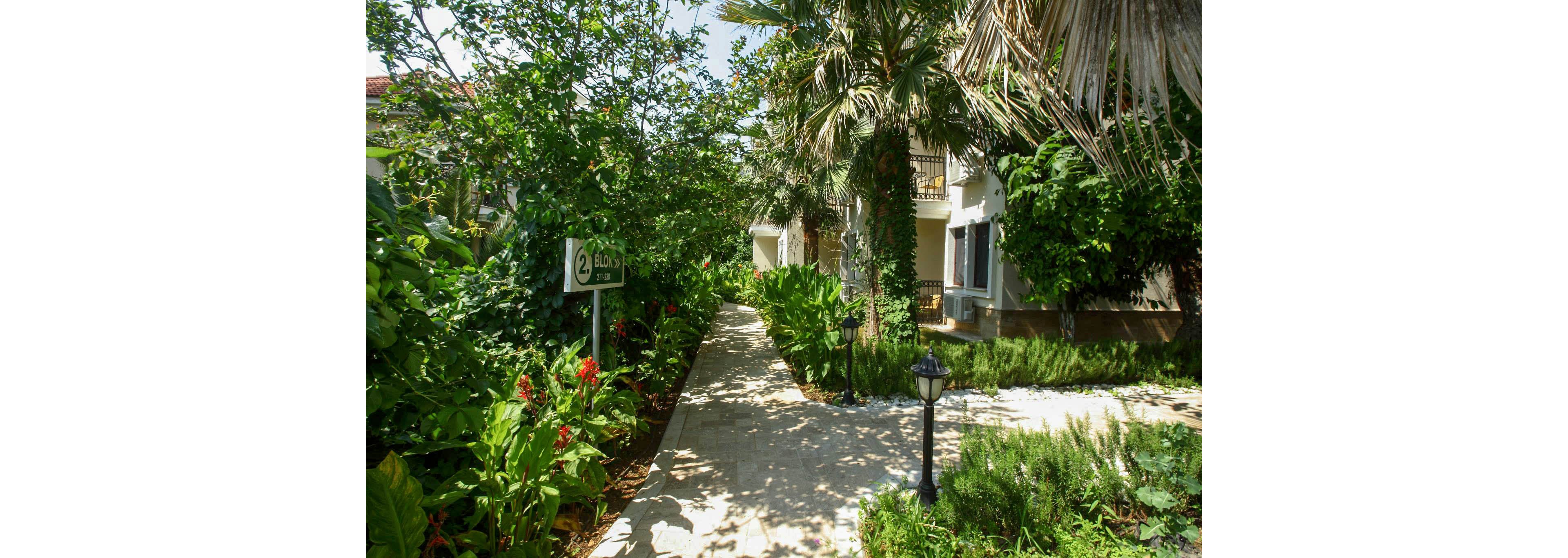 A sunlit stone pathway runs through a lush tropical garden toward a building with balconies. Dense green foliage, palm trees, and flowering plants line both sides of the walkway. A small sign and black garden lanterns are visible along the path, adding to the landscaped look. The overall scene suggests a tranquil vacation resort or guesthouse surrounded by nature.