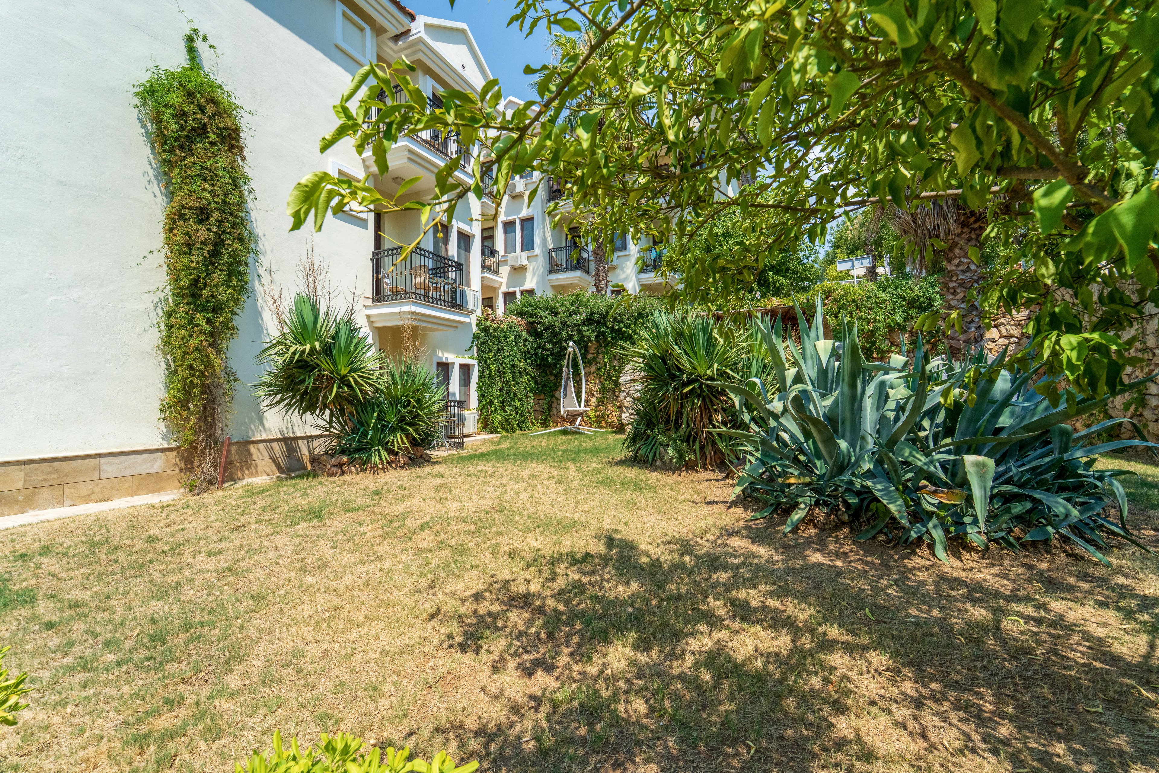 A sunlit residential garden is bordered by a light-colored building with balconies and climbing ivy. The dry grass lawn contrasts with dense green shrubs and large agave plants in the foreground. In the background, more foliage and trees frame the outdoor space, creating a mix of shade and bright sunlight. The scene suggests a warm climate and a quiet, private courtyard atmosphere.