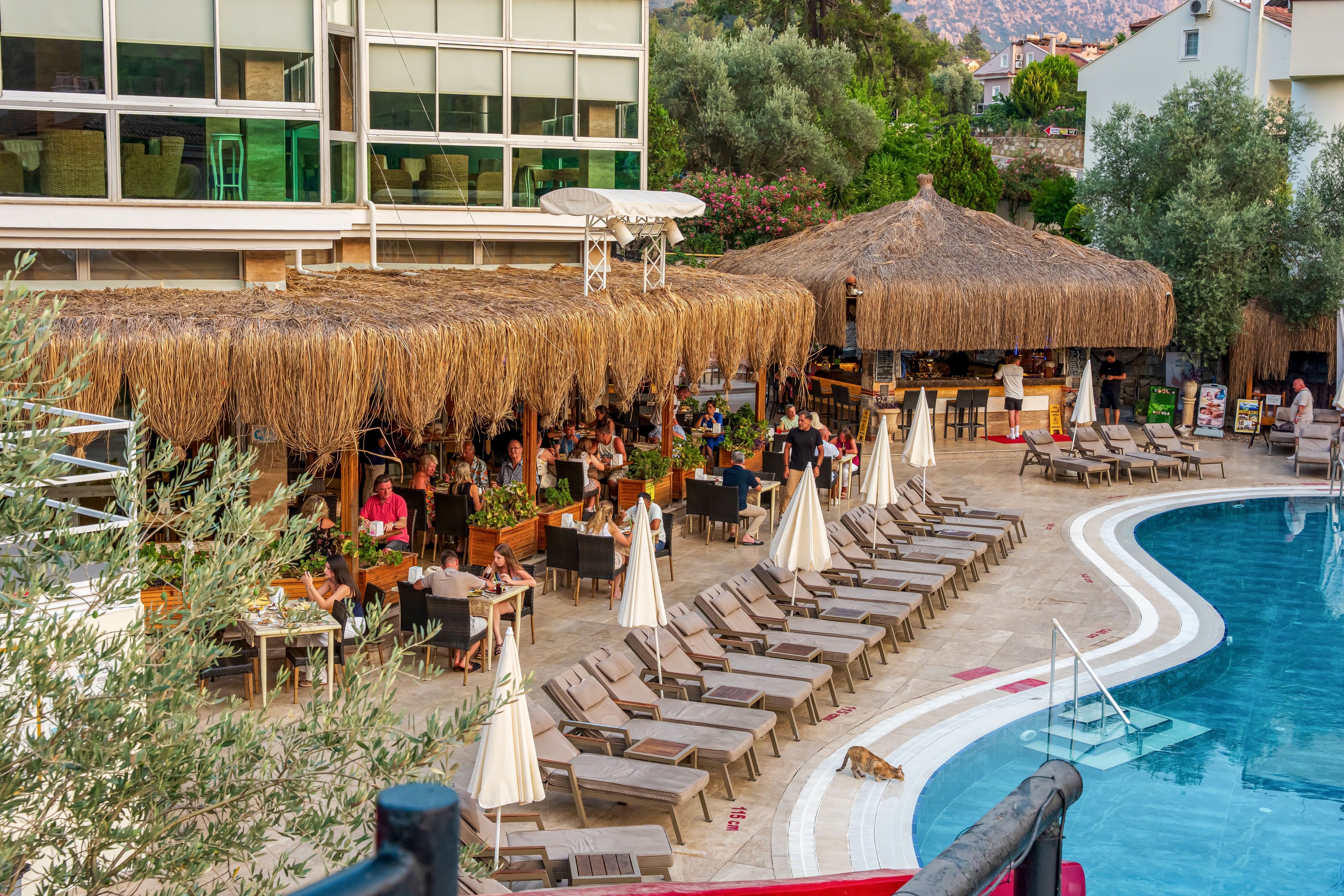 An outdoor resort bar with a thatched roof is busy with guests seated at tables and enjoying drinks and conversation. In front of the bar, rows of empty lounge chairs and closed umbrellas line the curved edge of a swimming pool. The scene is surrounded by greenery and modern buildings, suggesting a vacation hotel setting. Warm lighting and relaxed seating create a casual, social atmosphere in the early evening.
