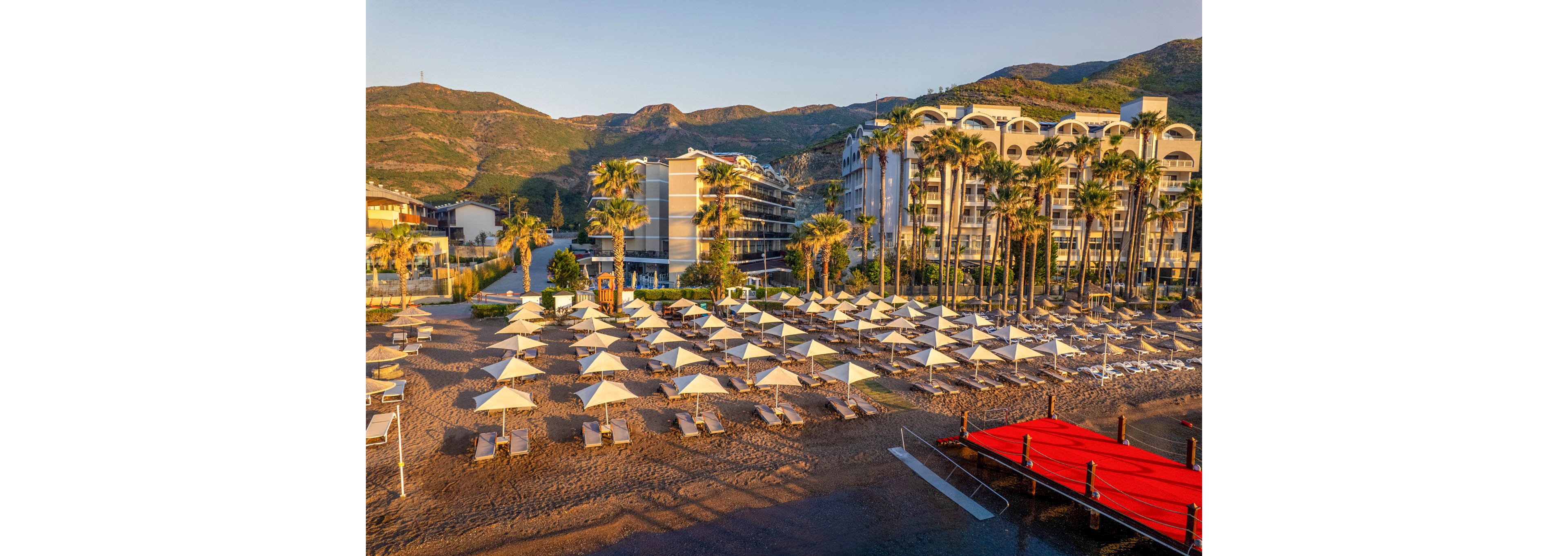 An aerial view shows a resort beach lined with rows of white umbrellas and sun loungers at sunrise. The sandy shoreline is organized in a grid pattern, creating a sense of order and symmetry. Modern hotel buildings and tall palm trees stand behind the beach, framed by green hills in the background. Warm golden light enhances the tranquil, early-morning atmosphere.