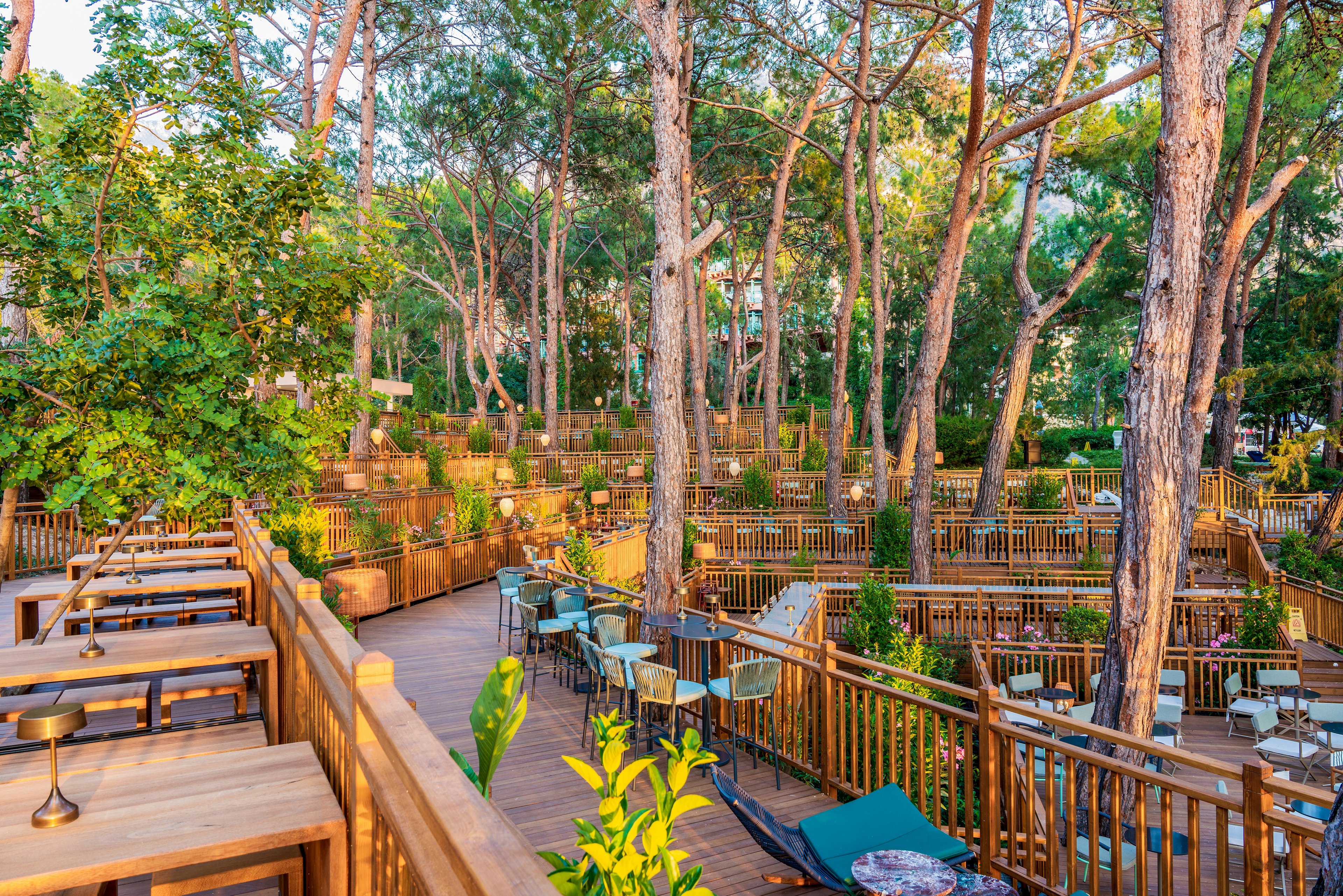 Liberty Lykia Adults Only