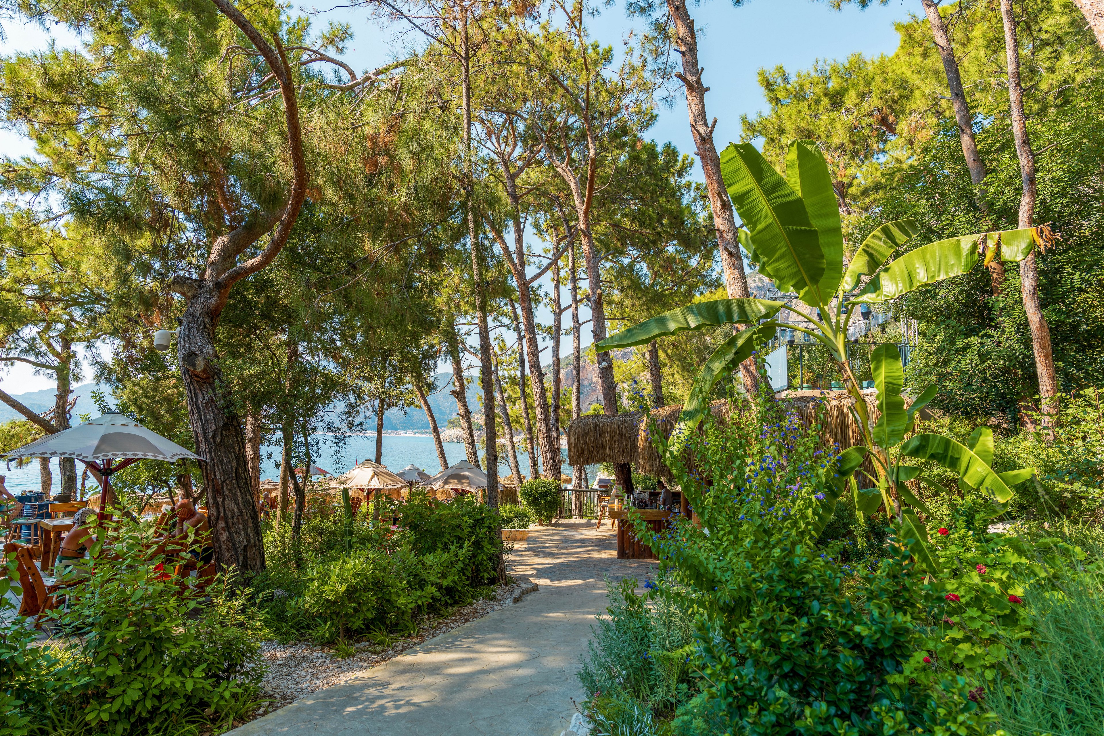 Liberty Lykia Adults Only