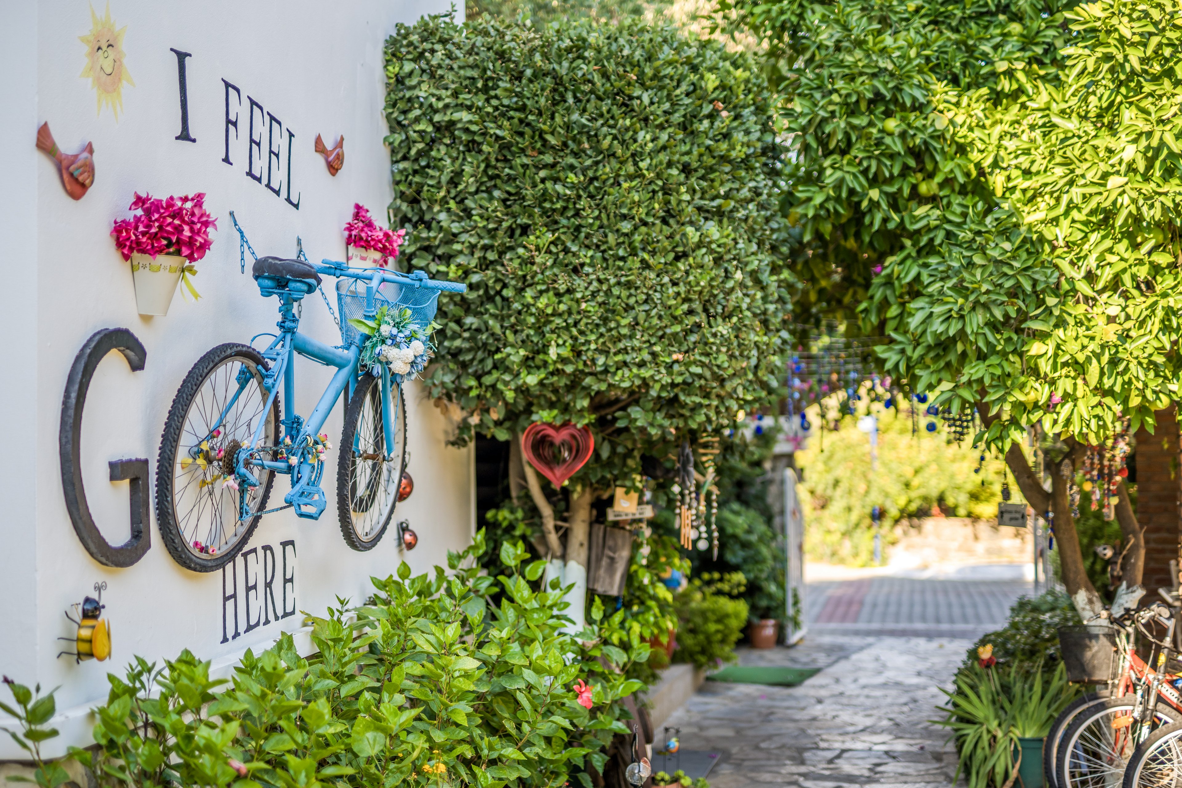 Moonlight Apartments