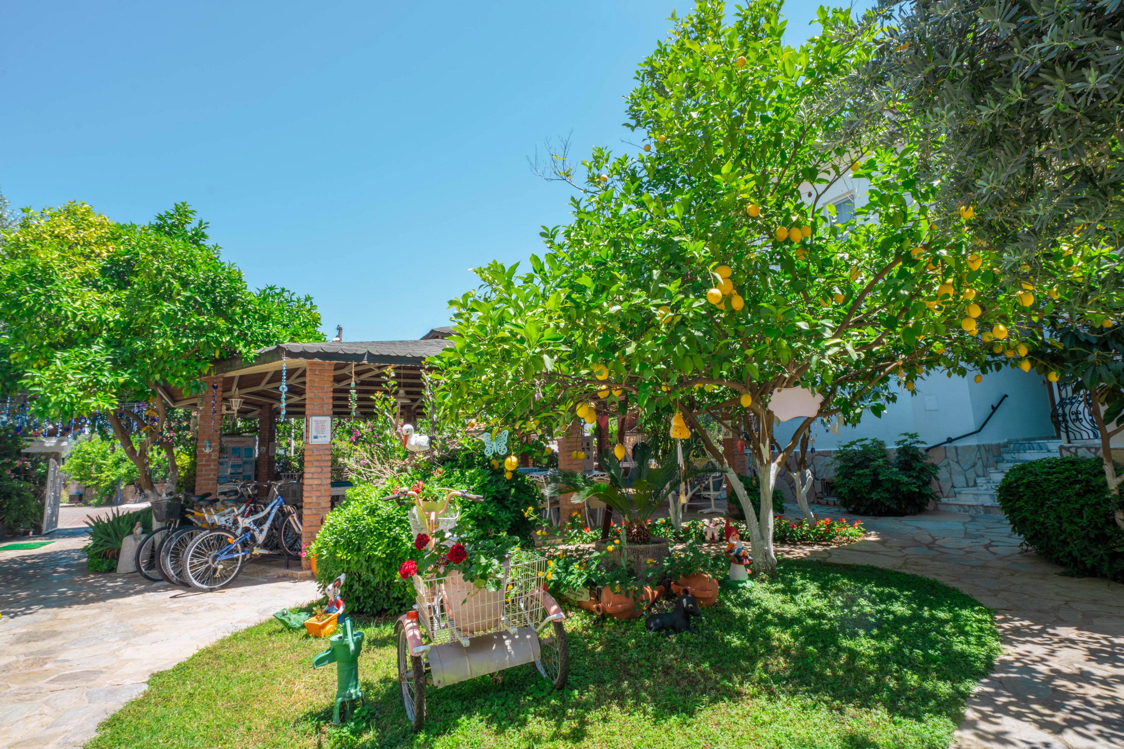 Moonlight Apartments