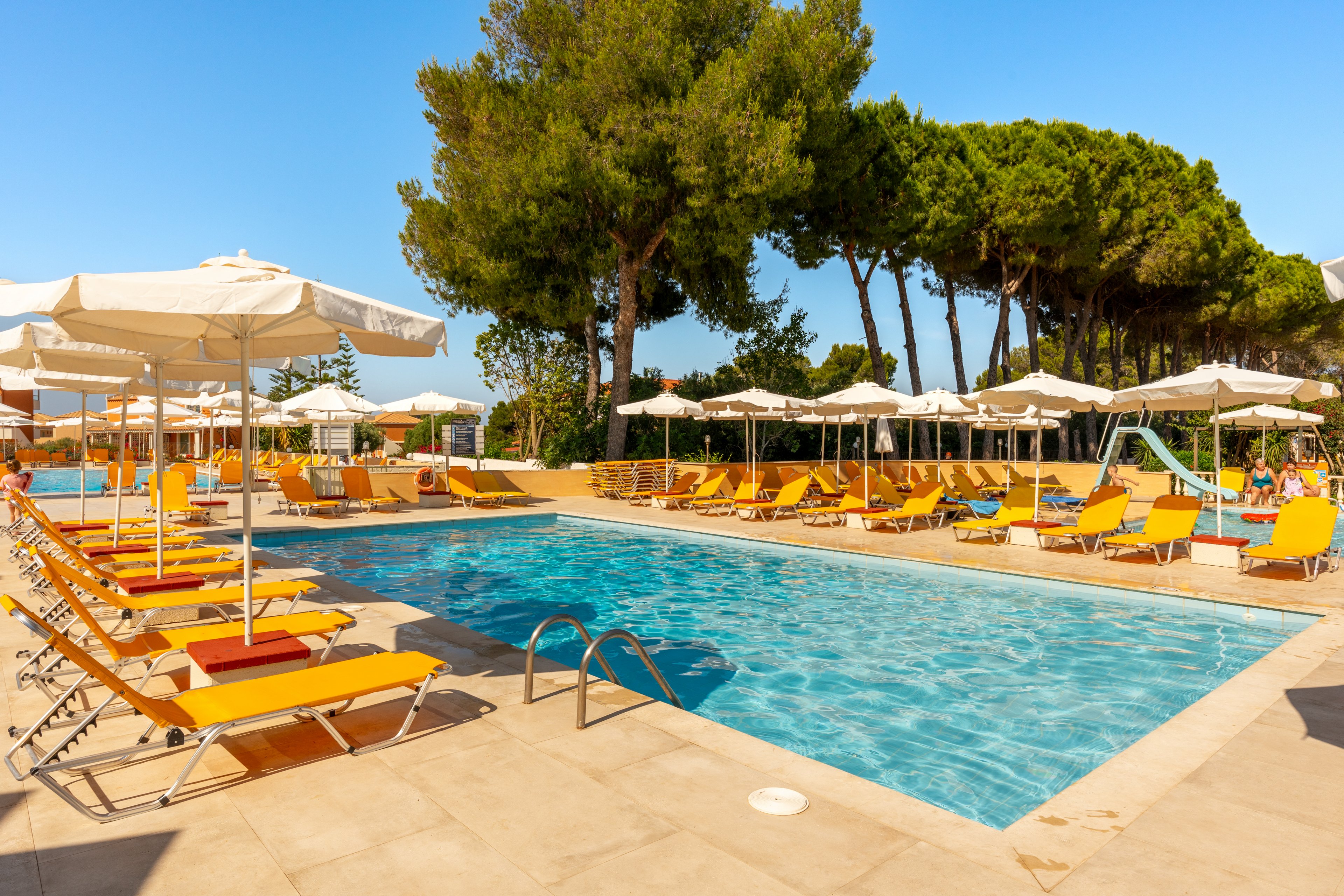 An outdoor resort swimming pool is surrounded by rows of yellow sun loungers and white umbrellas under a clear blue sky. Tall green pine trees frame the pool area, creating a relaxed holiday atmosphere. The water in the pool is bright and inviting, reflecting the sunlight. The scene suggests a quiet, comfortable place for guests to sunbathe and swim.