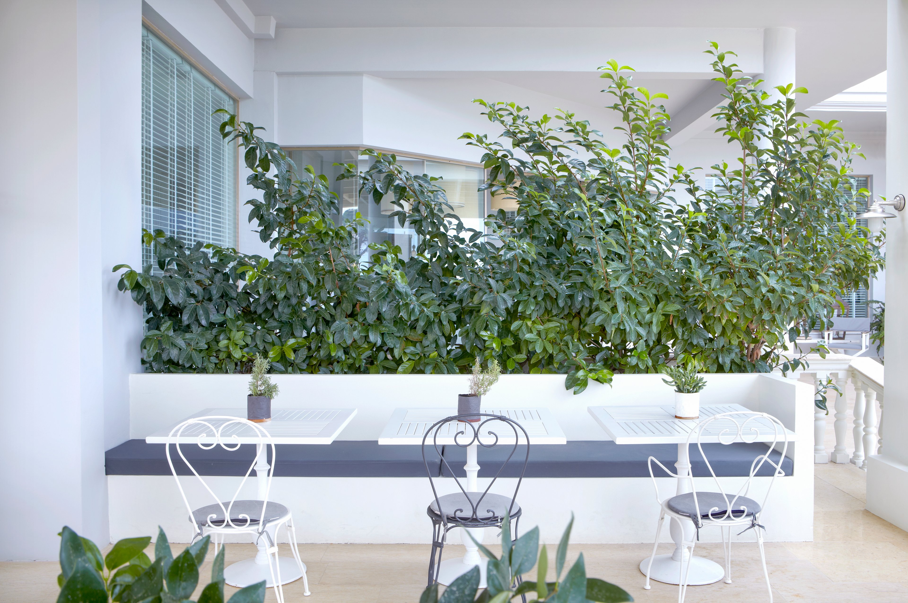 Thalassa Boutique Hotel Kefalonia