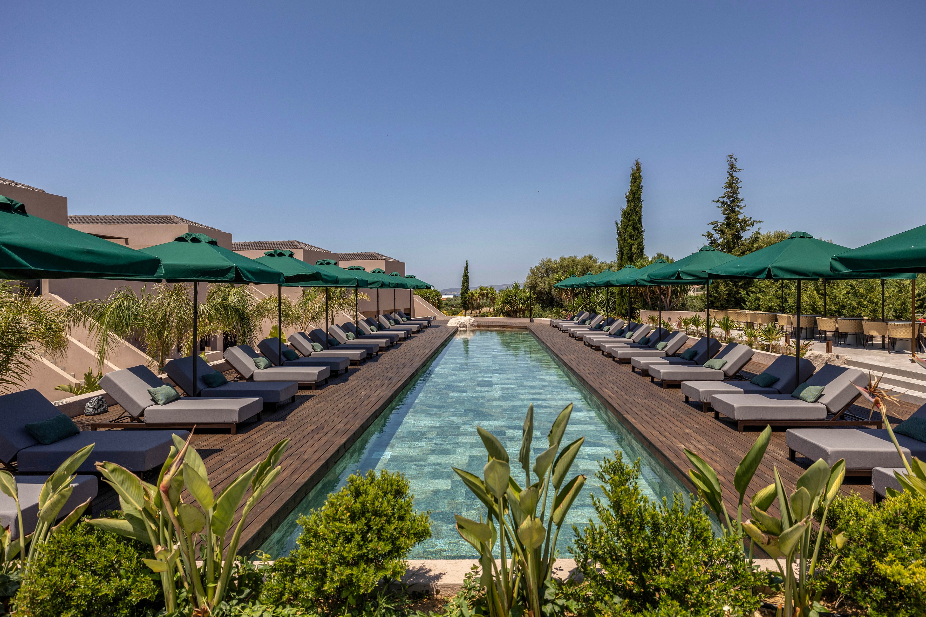 A long rectangular outdoor swimming pool is lined with cushioned sun loungers on both sides. Green umbrellas provide shade along the wooden deck, creating a relaxing resort atmosphere. Lush plants and shrubs frame the foreground, while modern low-rise buildings and tall trees surround the pool. The clear blue sky and calm water emphasize a tranquil, sunny vacation setting.