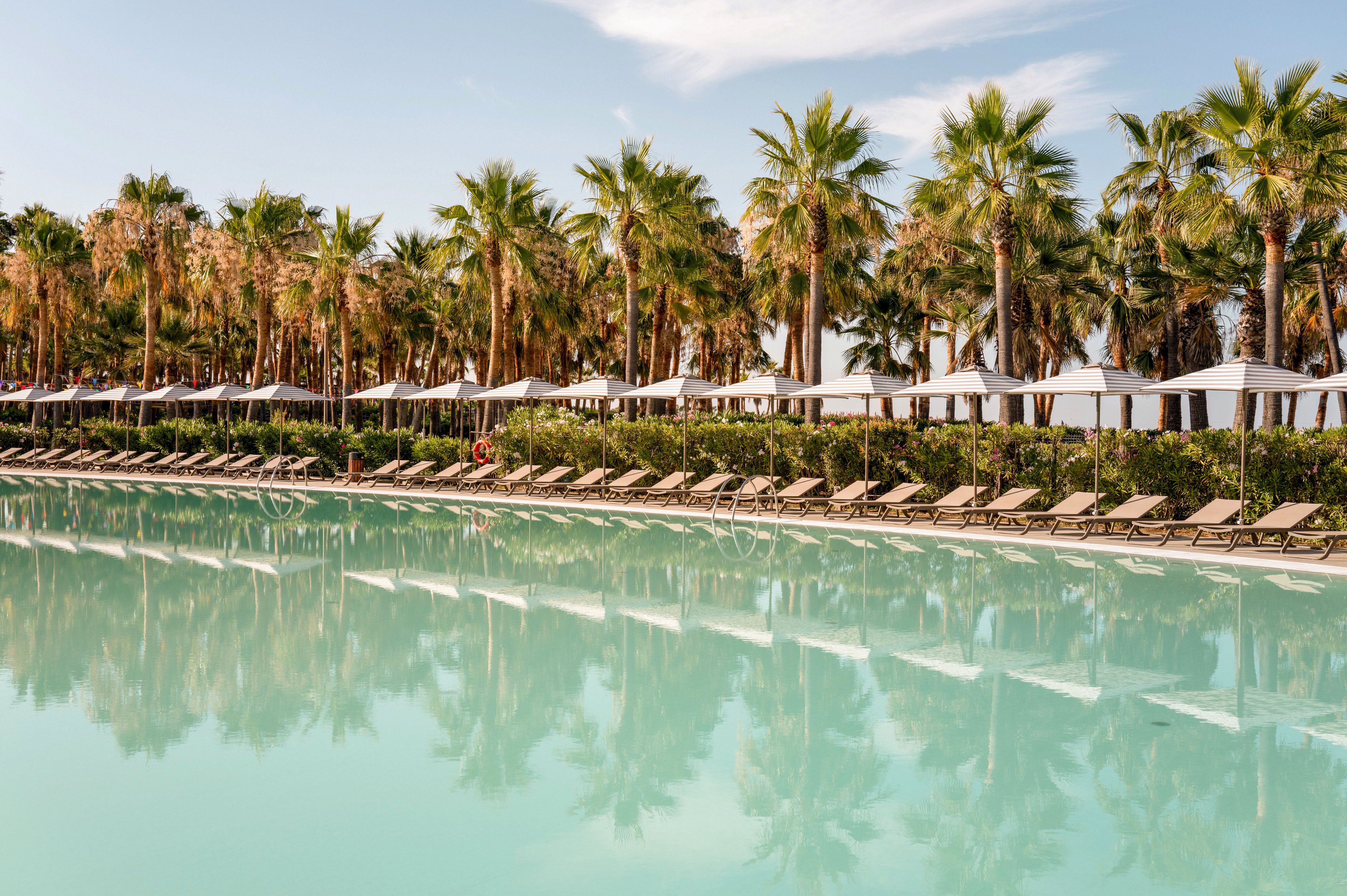 A large resort swimming pool stretches across the foreground, reflecting rows of tall palm trees. Numerous sun loungers and white parasols line the poolside, suggesting a relaxing vacation setting. The calm turquoise water and clear sky create a serene, tropical atmosphere. A few people can be seen in the distance, adding a subtle sense of leisure and scale.