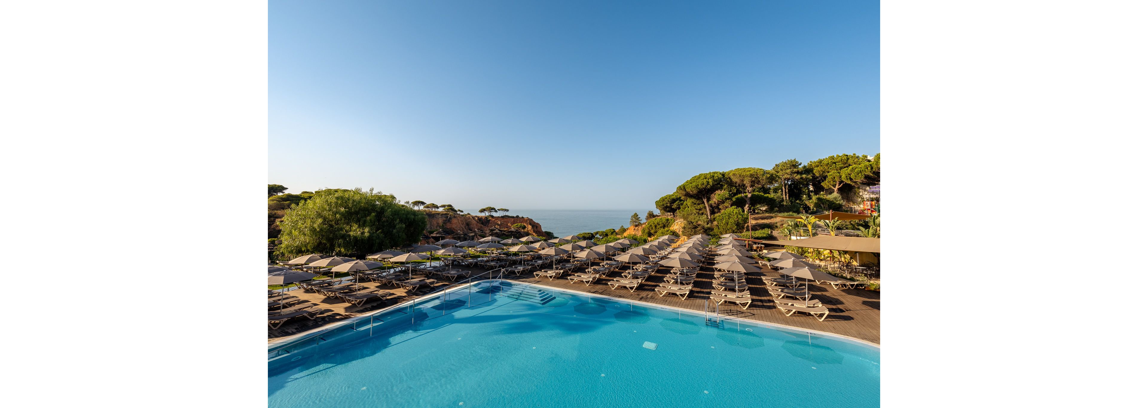 A large outdoor swimming pool is surrounded by rows of empty sun loungers and umbrellas at a coastal resort. The scene overlooks cliffs and the ocean under a clear blue sky. Lush green trees and landscaped vegetation frame the leisure area, suggesting a tranquil holiday destination. The warm early light creates long shadows and a peaceful, inviting atmosphere.