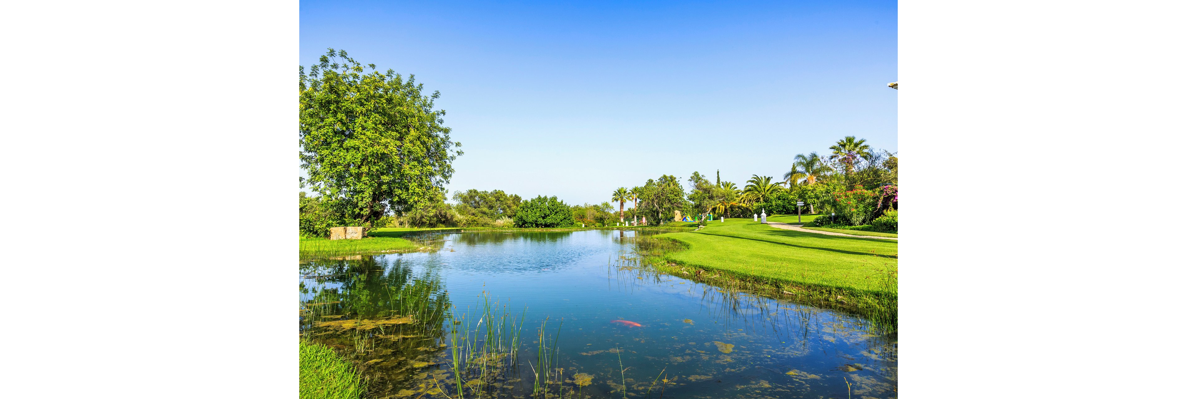A calm pond reflects the clear blue sky and surrounding trees in a landscaped park. Lush green grass and palm trees line the water’s edge, creating a serene natural setting. A walking path curves through the background where a few people stroll in the distance. The bright daylight and vivid colors emphasize a peaceful, relaxing outdoor atmosphere.
