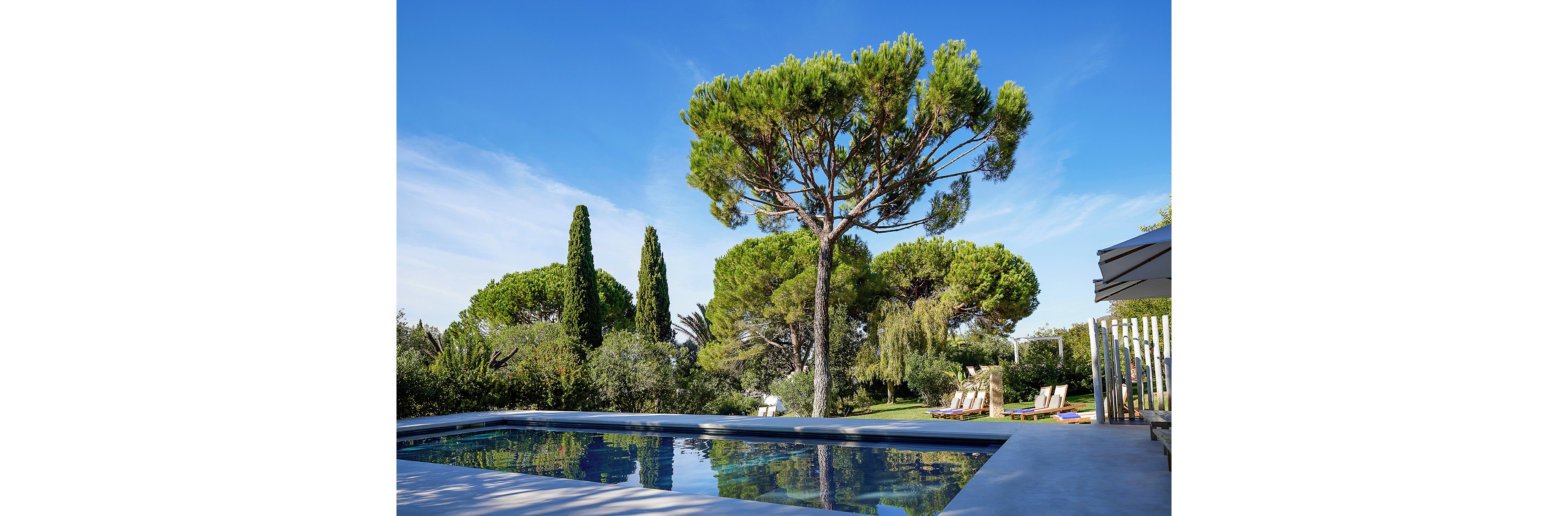 A modern rectangular swimming pool sits in a landscaped backyard surrounded by lush greenery. Tall pine and cypress trees rise above the garden, reflecting in the still pool water. Sun loungers are arranged on the grass in the background, suggesting a relaxing outdoor retreat. The sky is clear and blue, enhancing the bright and tranquil atmosphere.