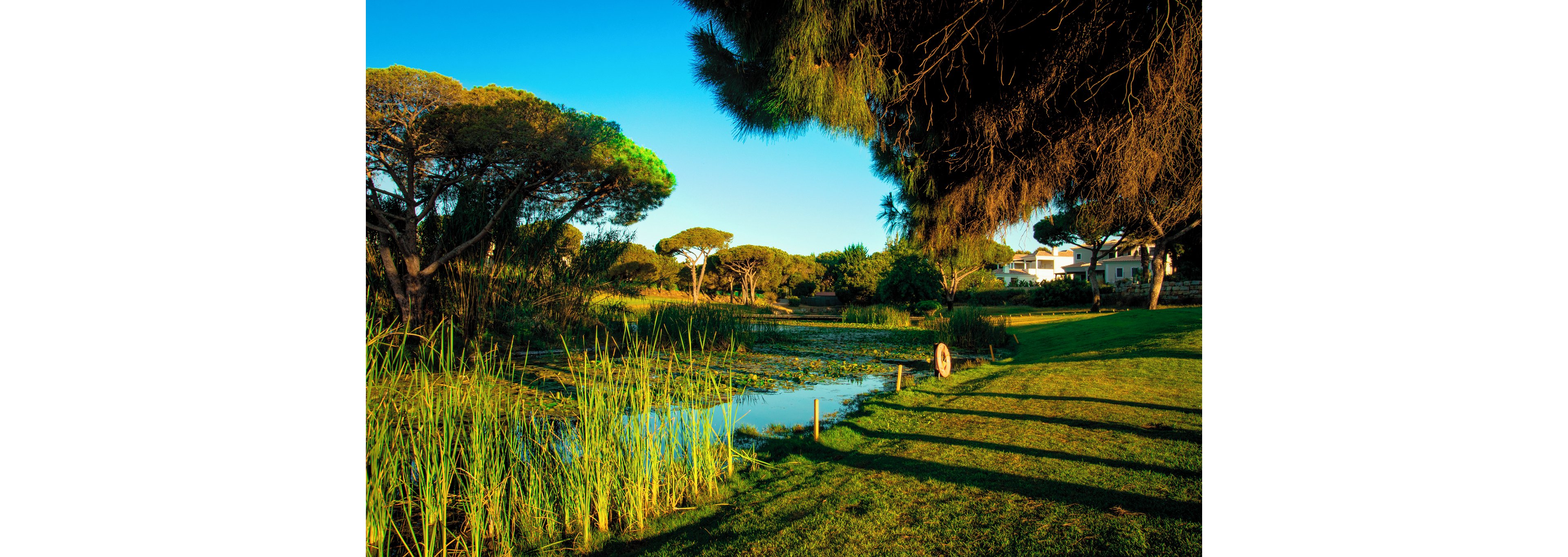 Pestana Vila Sol Premium Golf & Spa Resort with Golf Packages