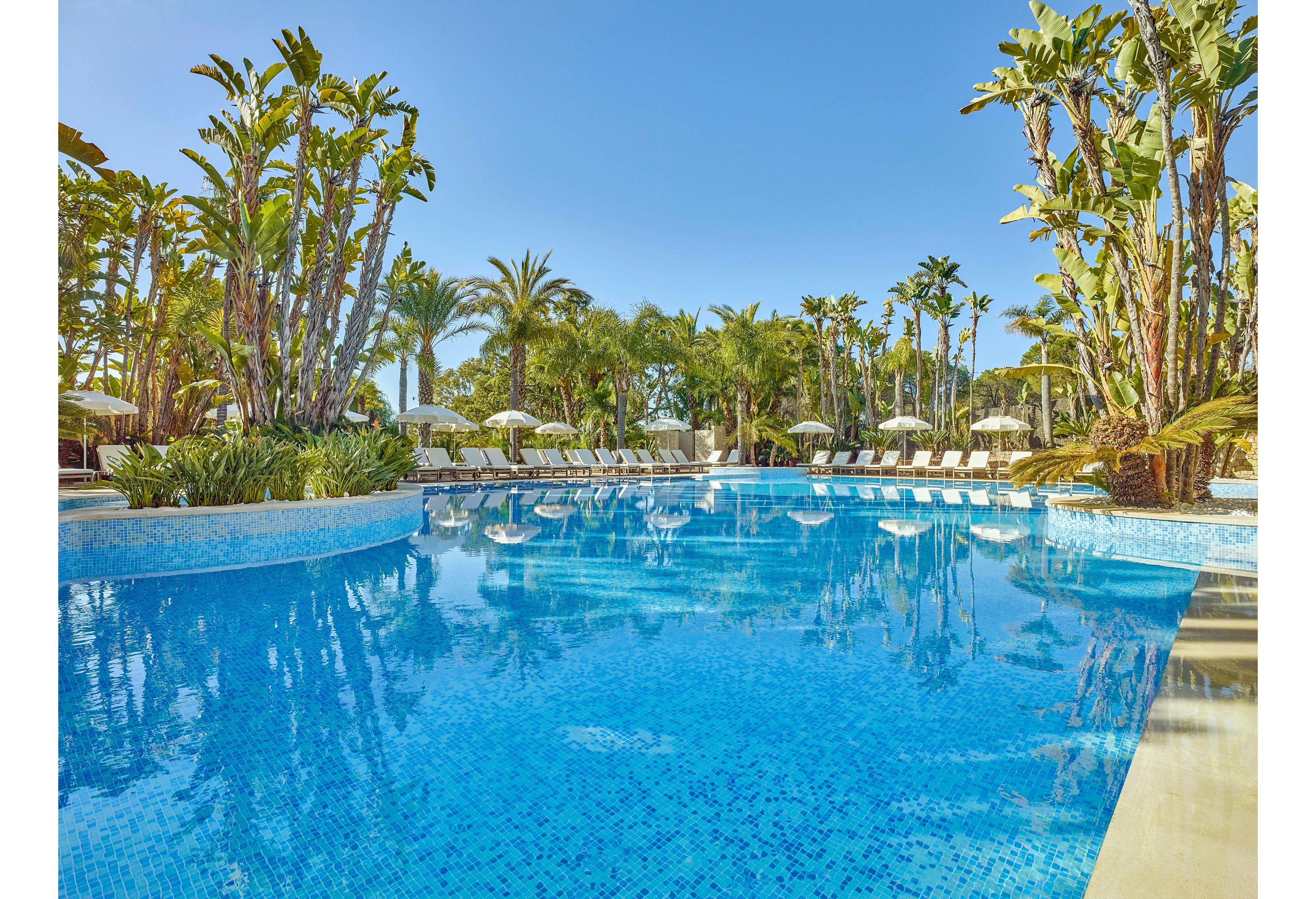 A large outdoor swimming pool is the main focus, set in a tropical resort environment with numerous palm trees and lush greenery. Lounge chairs and umbrellas line the poolside, suggesting a relaxing vacation atmosphere. The clear blue water reflects the bright sky, creating a vibrant and inviting mood. No visible text or numbers are present in the image.