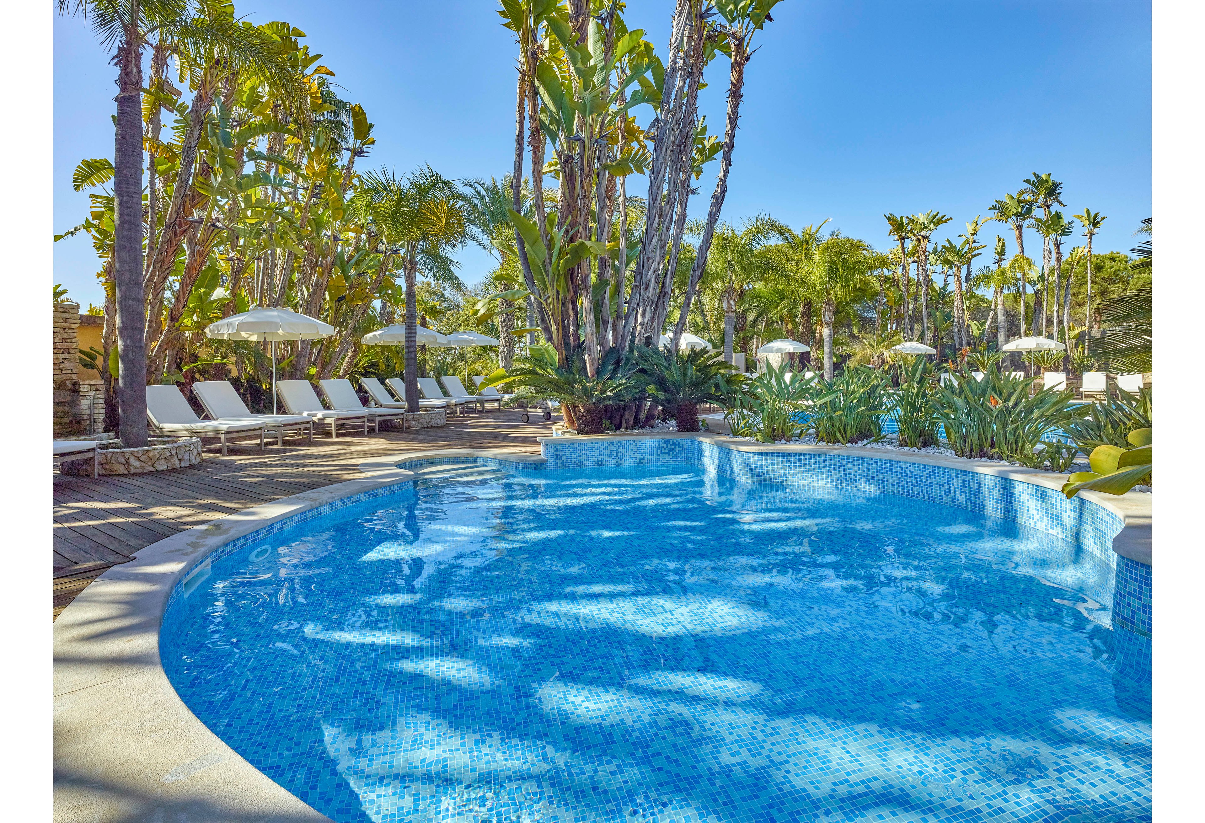 The image features a sparkling blue swimming pool surrounded by lush palm trees and tropical plants. White lounge chairs and umbrellas line the wooden deck, creating a relaxing atmosphere under clear skies. The setting evokes a tranquil vacation mood with vibrant greenery and inviting water. No visible text or numeric values are present in the scene.