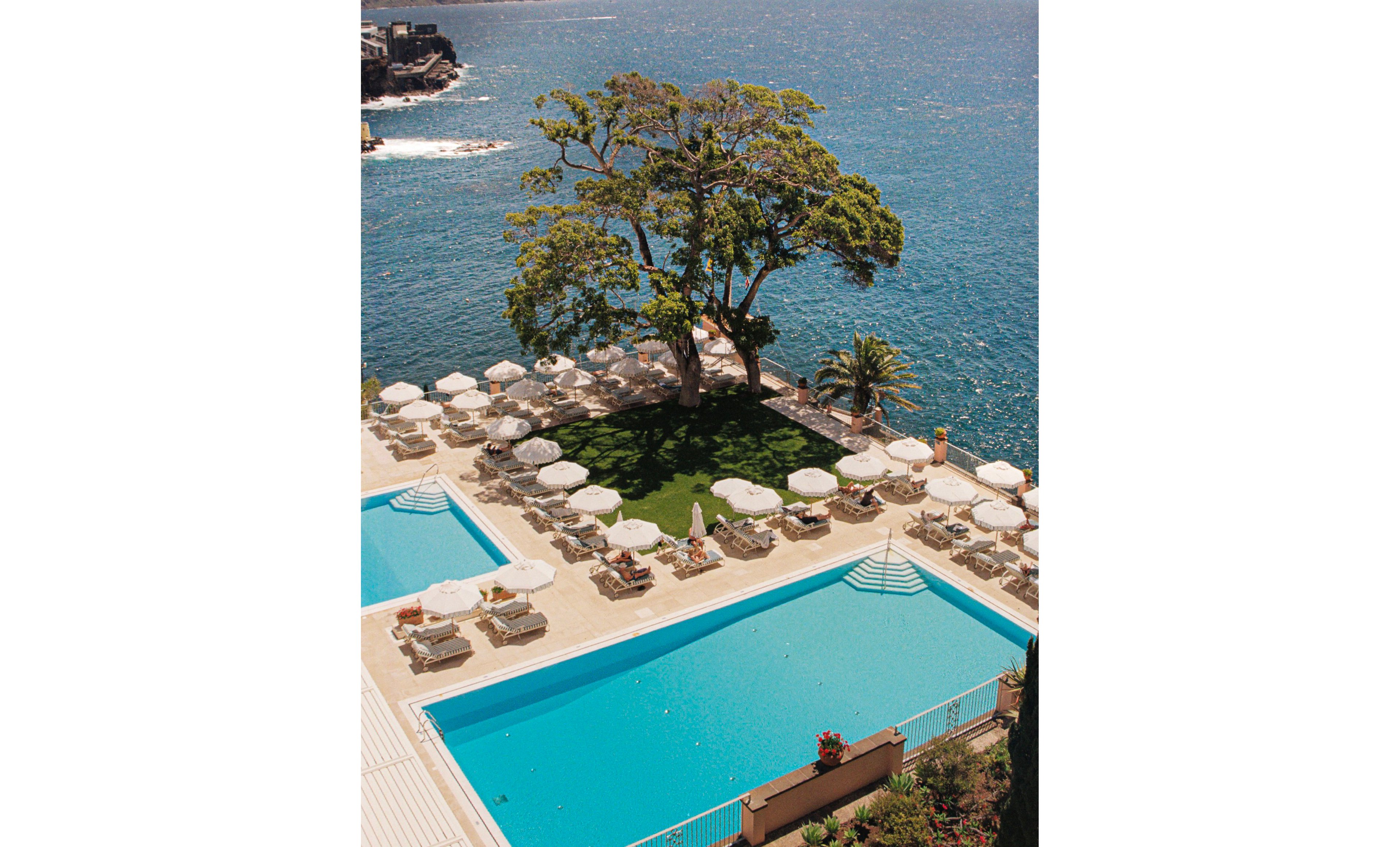 An elevated view shows a seaside resort with two large swimming pools beside a sunlit terrace. Numerous lounge chairs and white umbrellas surround the pools, creating a relaxed vacation atmosphere. A large tree and a patch of green lawn sit between the terrace and the rocky shoreline. Beyond the resort, the blue ocean stretches out under clear skies, suggesting a warm, tranquil day by the water.