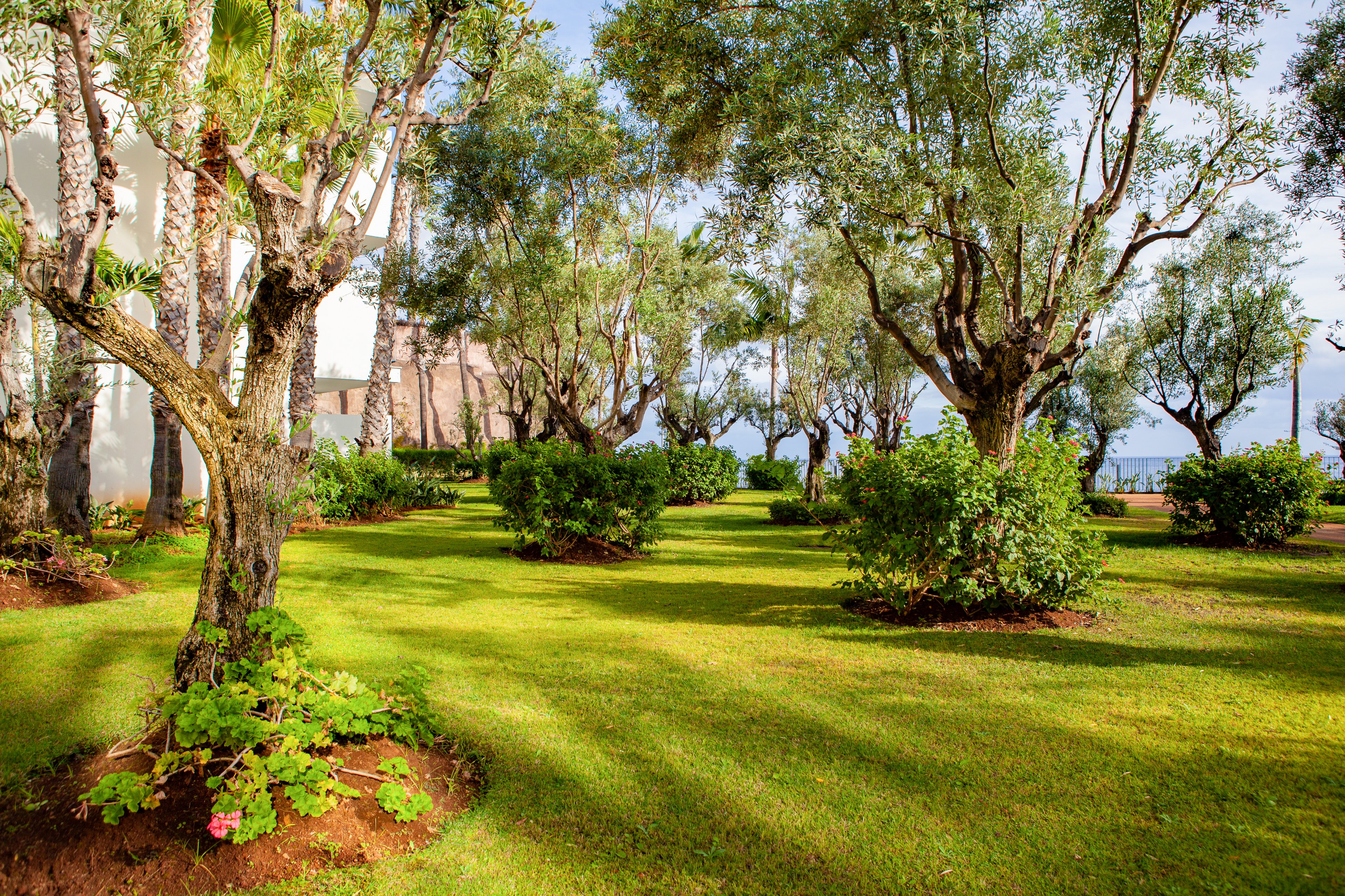 VidaMar Resort Madeira