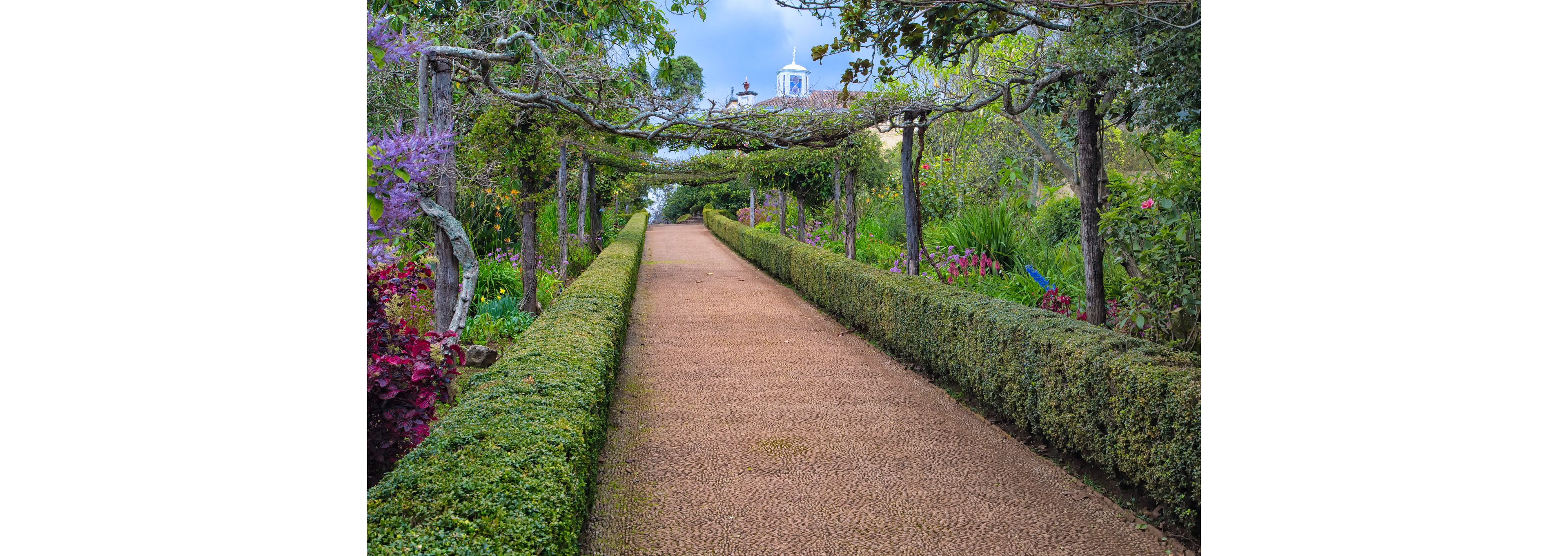 Casa Velha do Palheiro