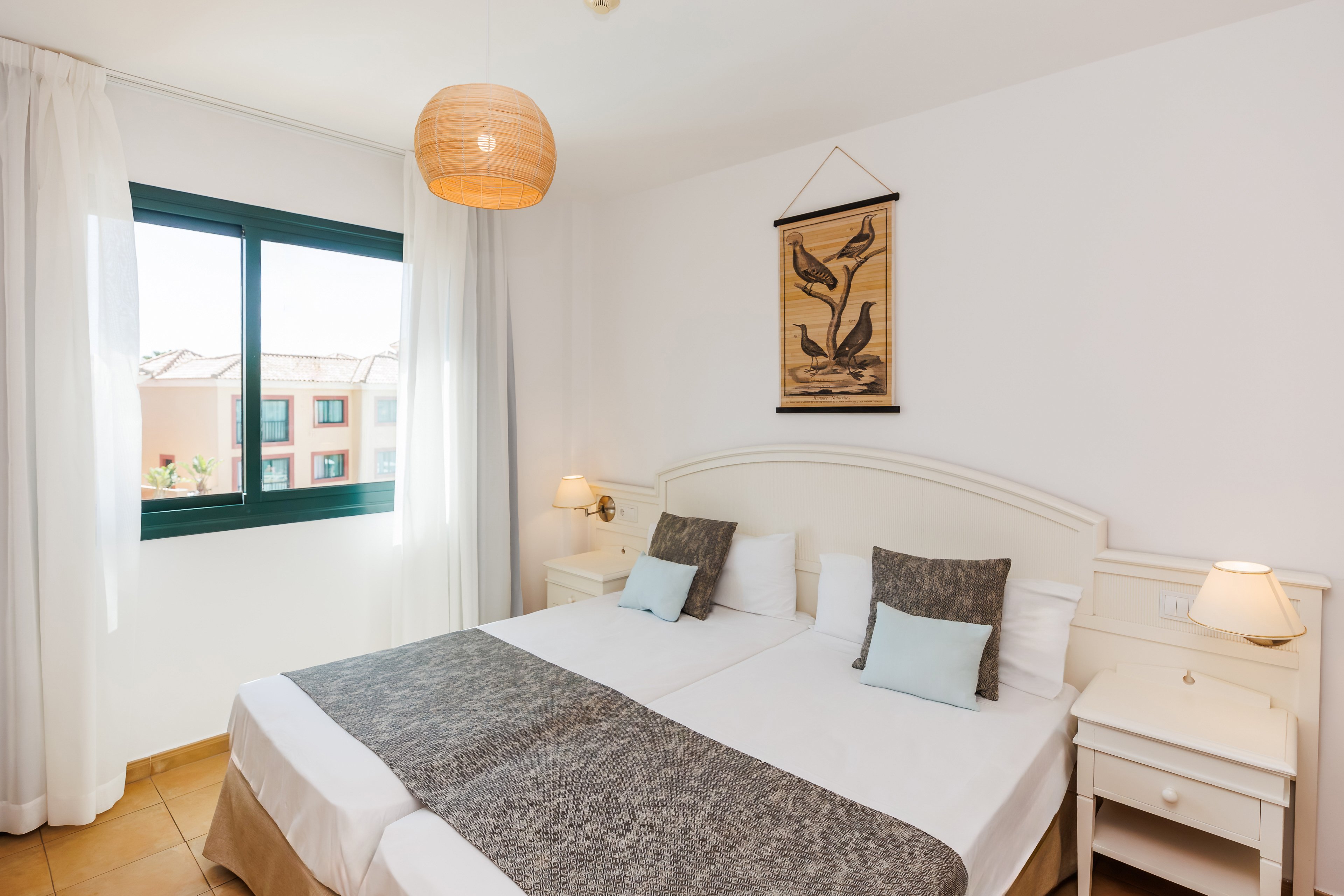 Blue Sea Aloe Corralejo