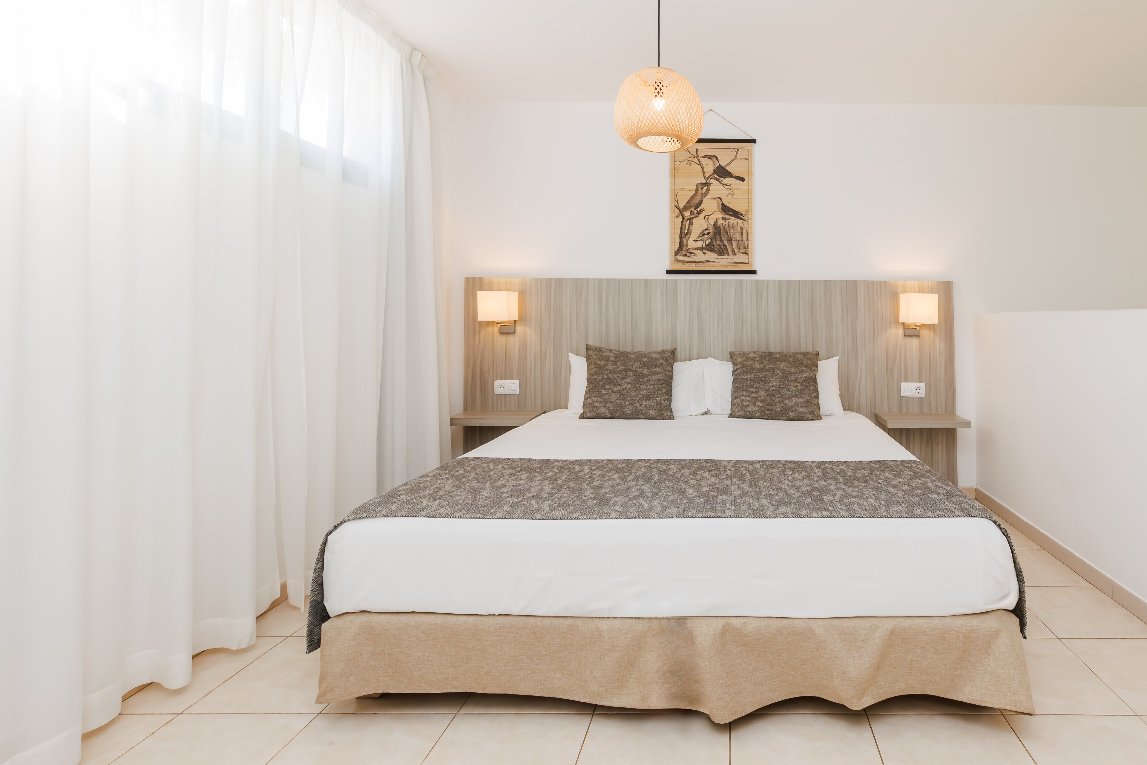 Blue Sea Aloe Corralejo