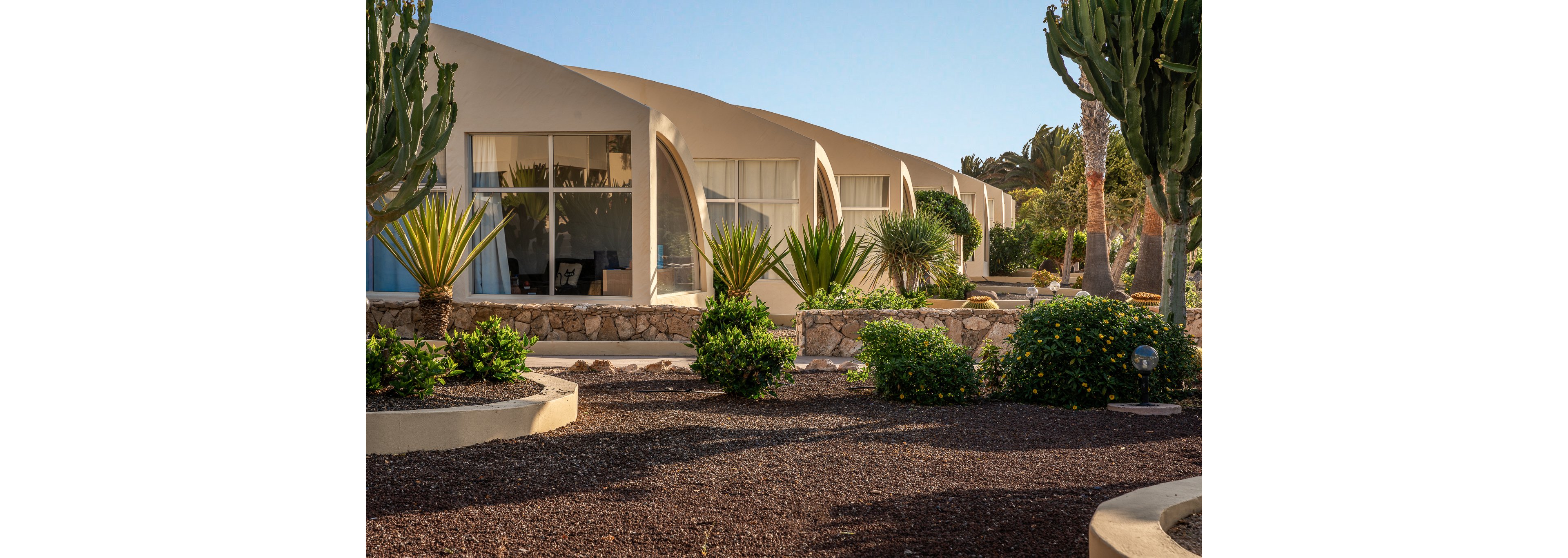 LIVVO Risco del Gato