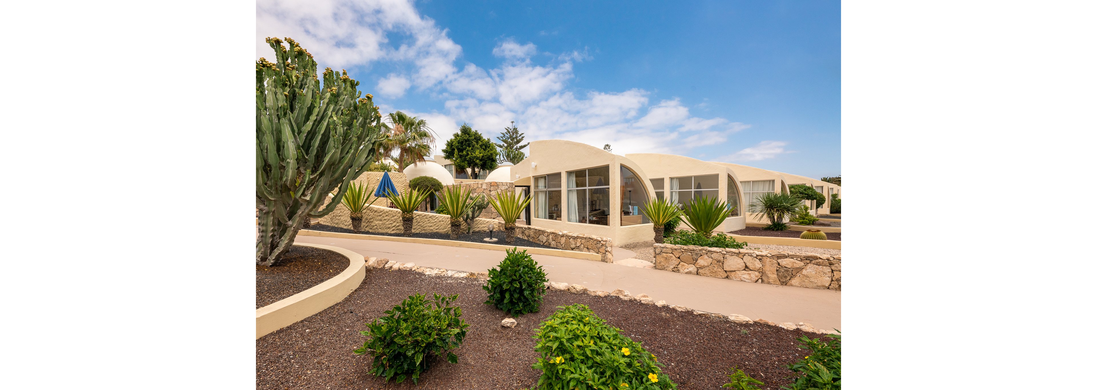 LIVVO Risco del Gato