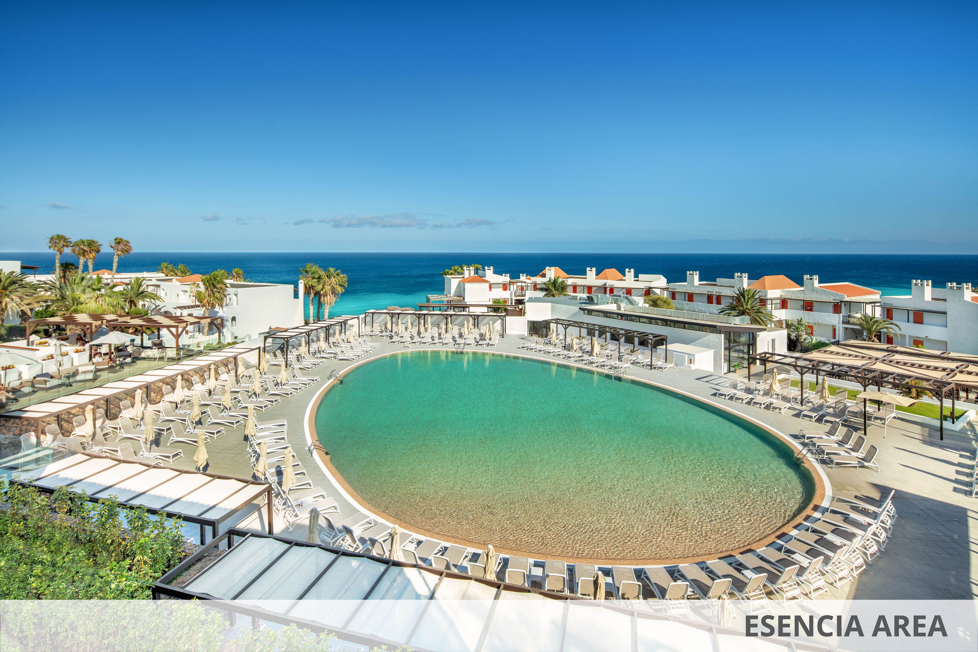 A large, oval swimming pool sits at the center of a modern seaside resort. Rows of lounge chairs and umbrellas surround the pool, creating a relaxing sunbathing area. White low-rise buildings and palm trees frame the scene, with the blue ocean and clear sky in the background. The text "ESENCIA AREA" appears in the lower right corner of the image.