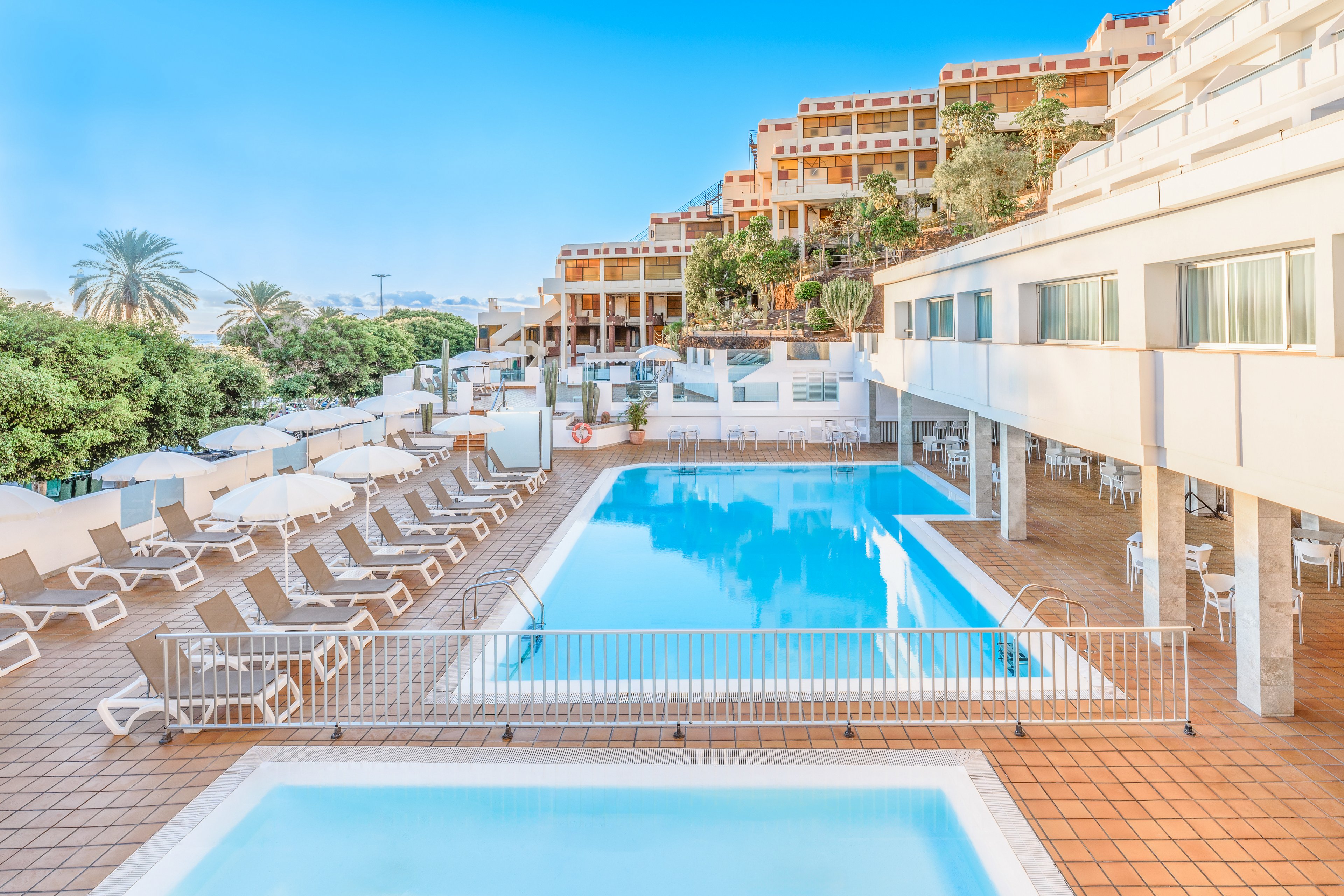 FERGUS Cactus Garden