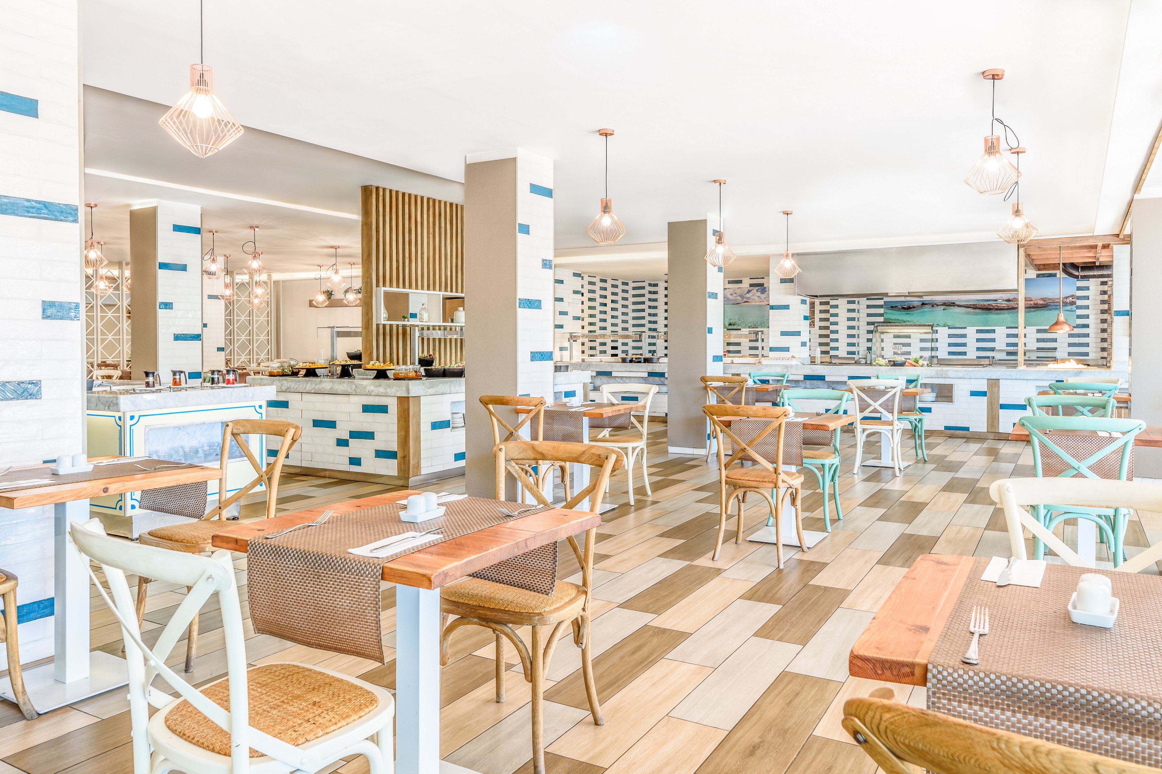 FERGUS Cactus Garden