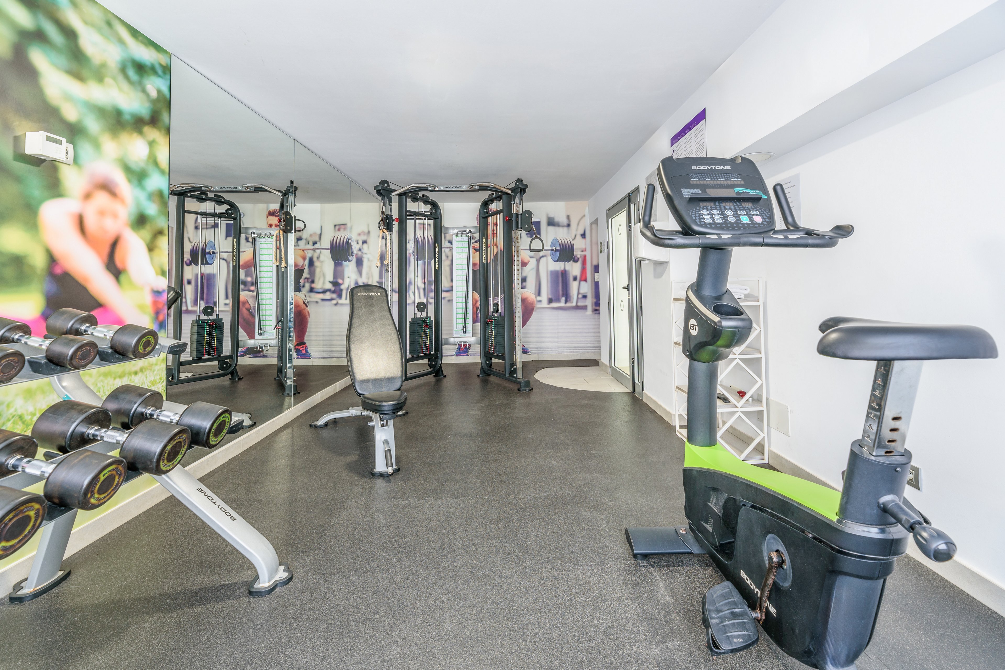 FERGUS Cactus Garden