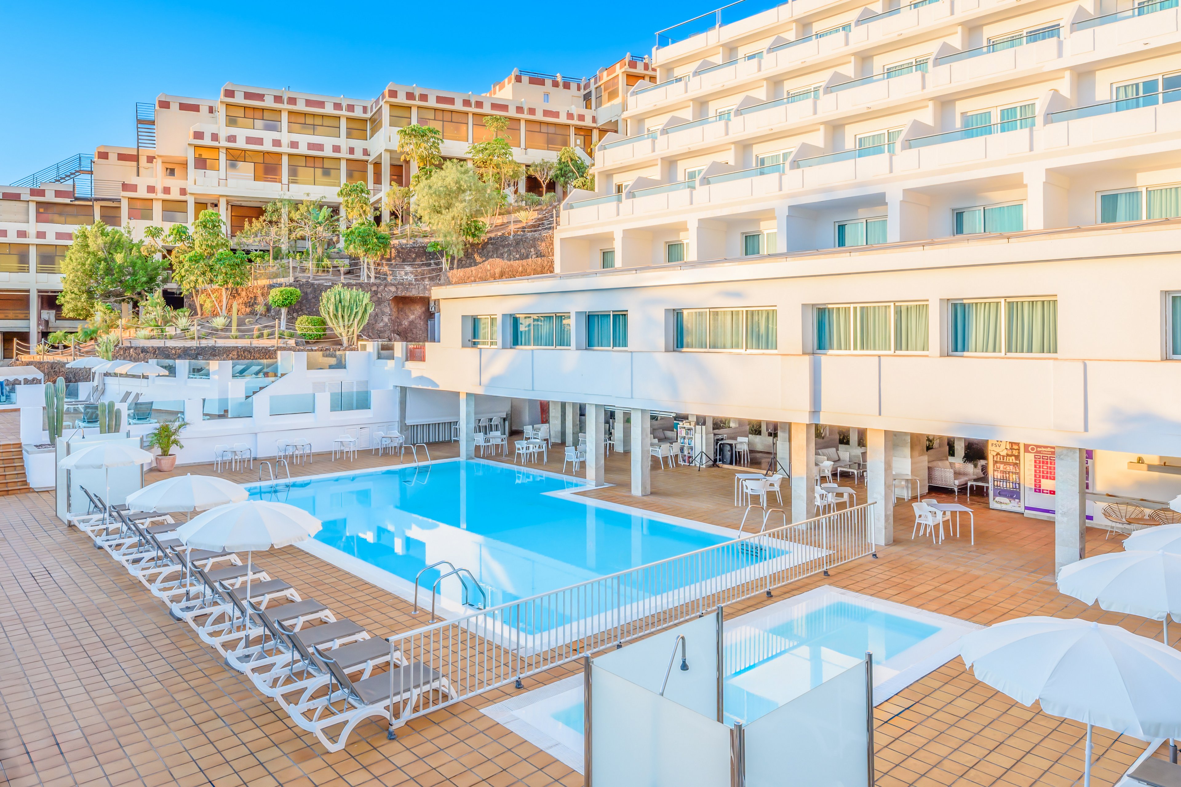 FERGUS Cactus Garden