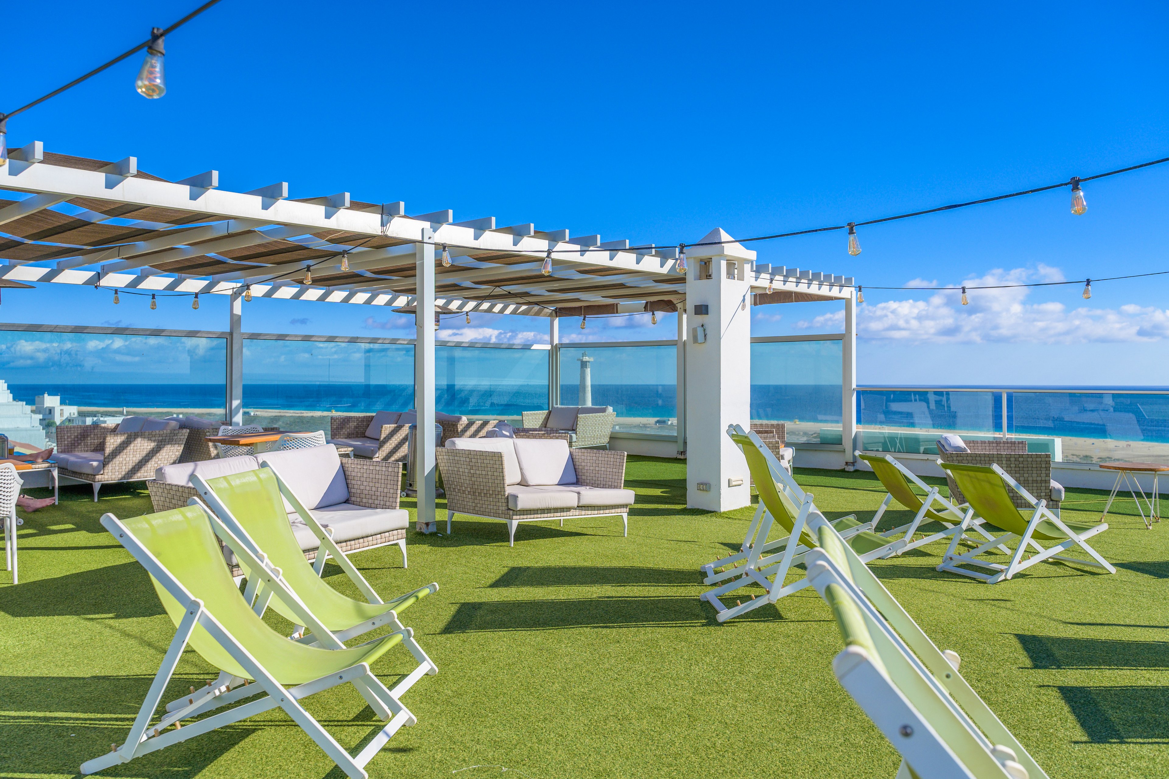 FERGUS Cactus Garden