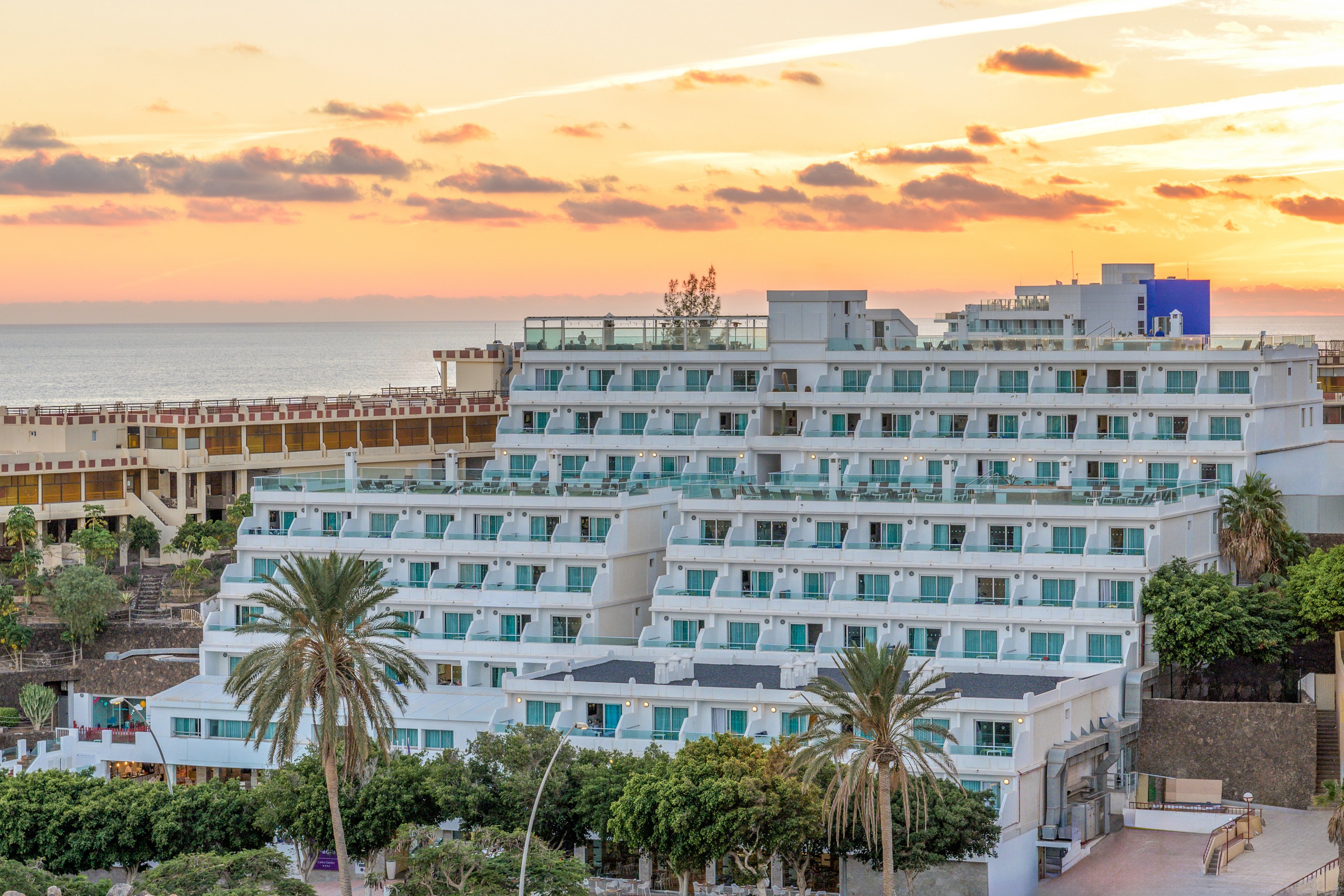 FERGUS Cactus Garden