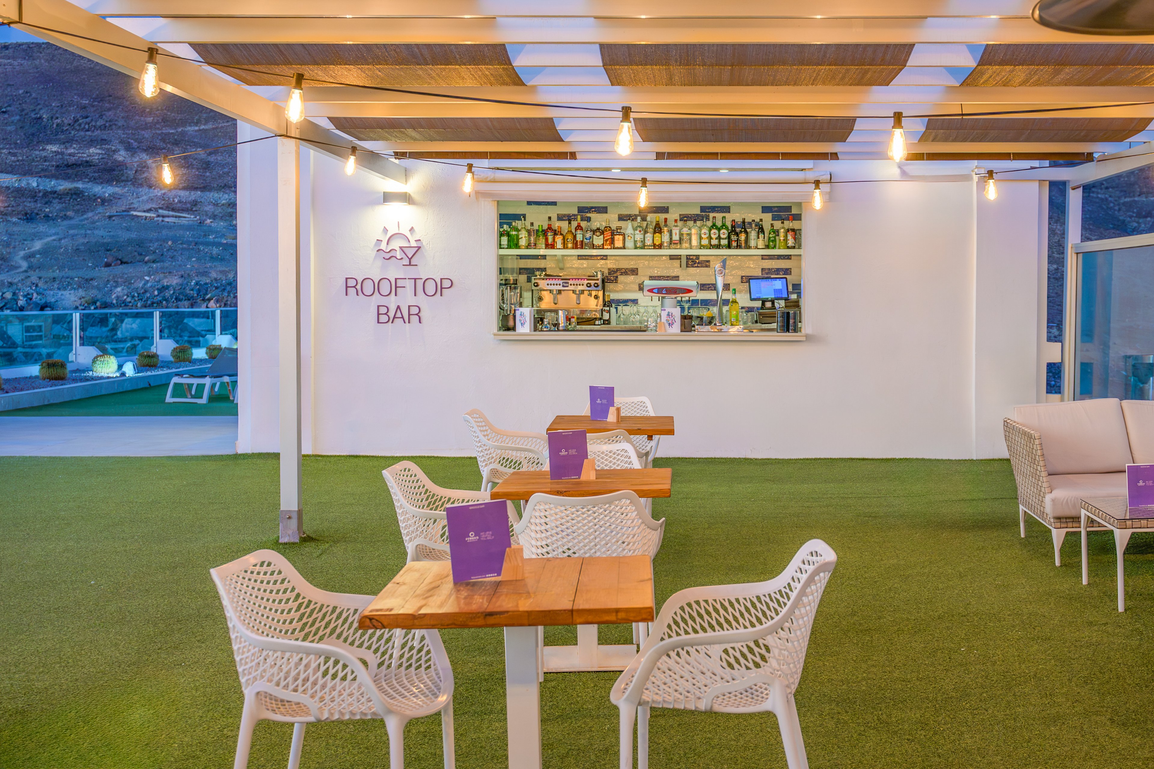 FERGUS Cactus Garden